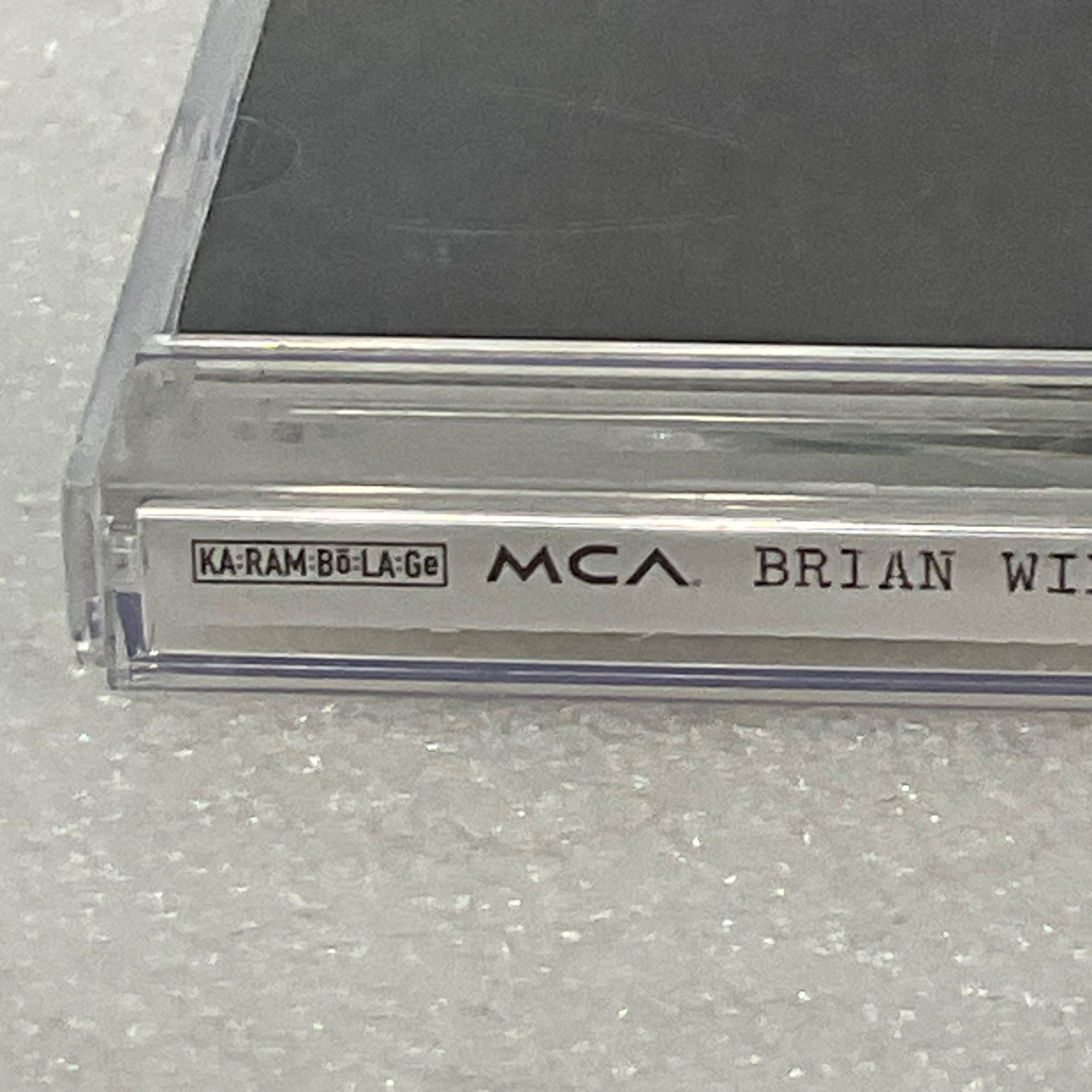 Brian Wilson I Just Wasn't Made for These Times 1995 CD MCA - Image 4