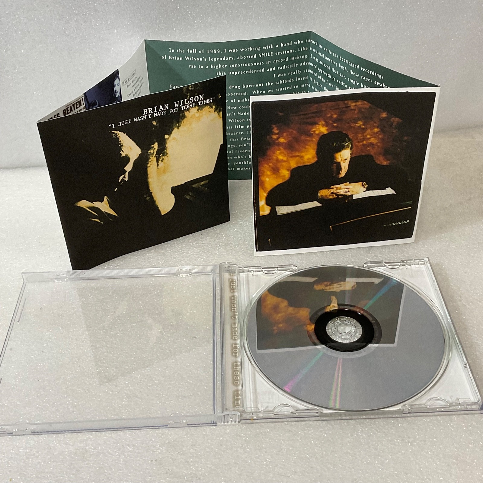 Brian Wilson I Just Wasn't Made for These Times 1995 CD MCA - Image 14