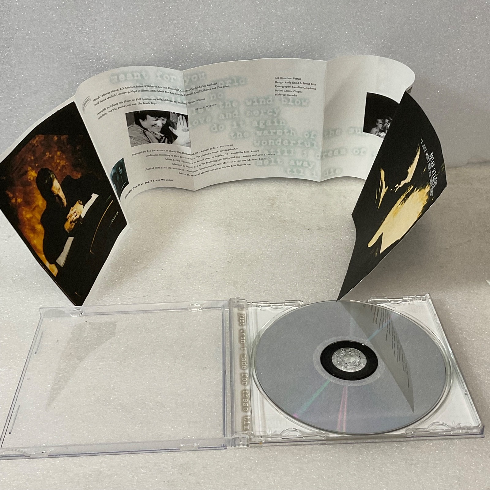 Brian Wilson I Just Wasn't Made for These Times 1995 CD MCA - Image 15