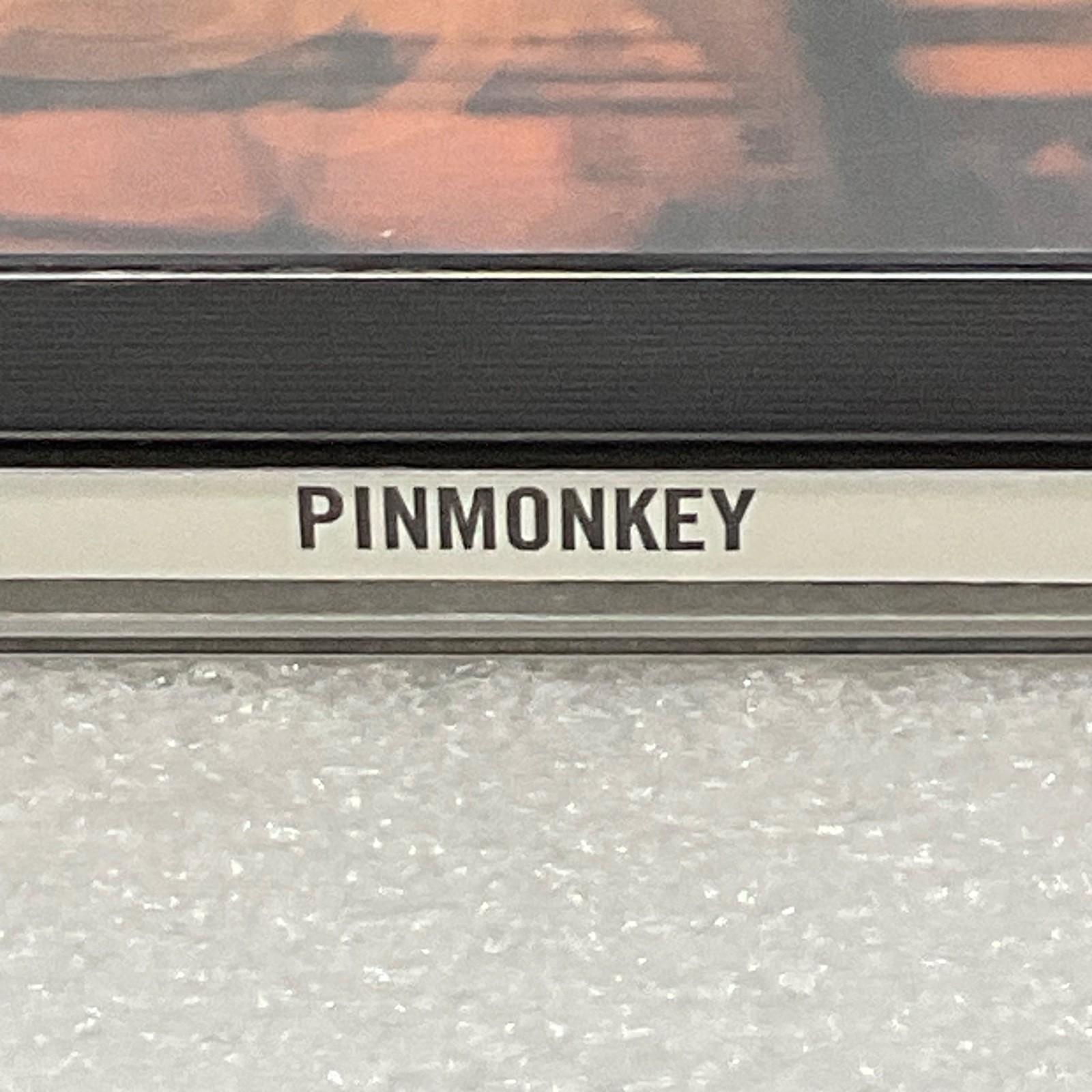 Pinmonkey Self-Titled CD 2002 Country Rock Album Dolly Parton Feature - Image 5