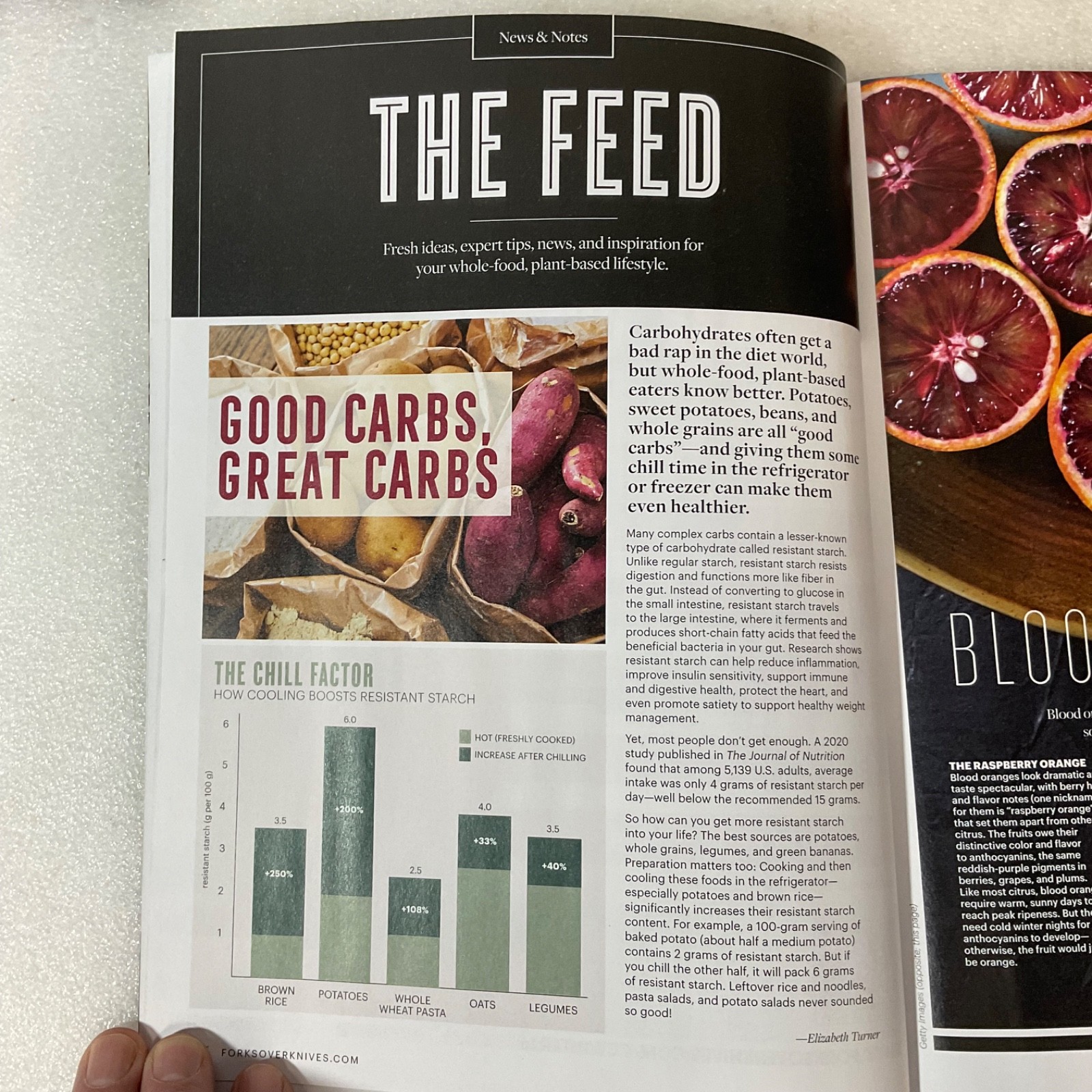 Forks Over Knives Plant Based Magazine Winter 2026 Cozy Comfort Meals - Image 12