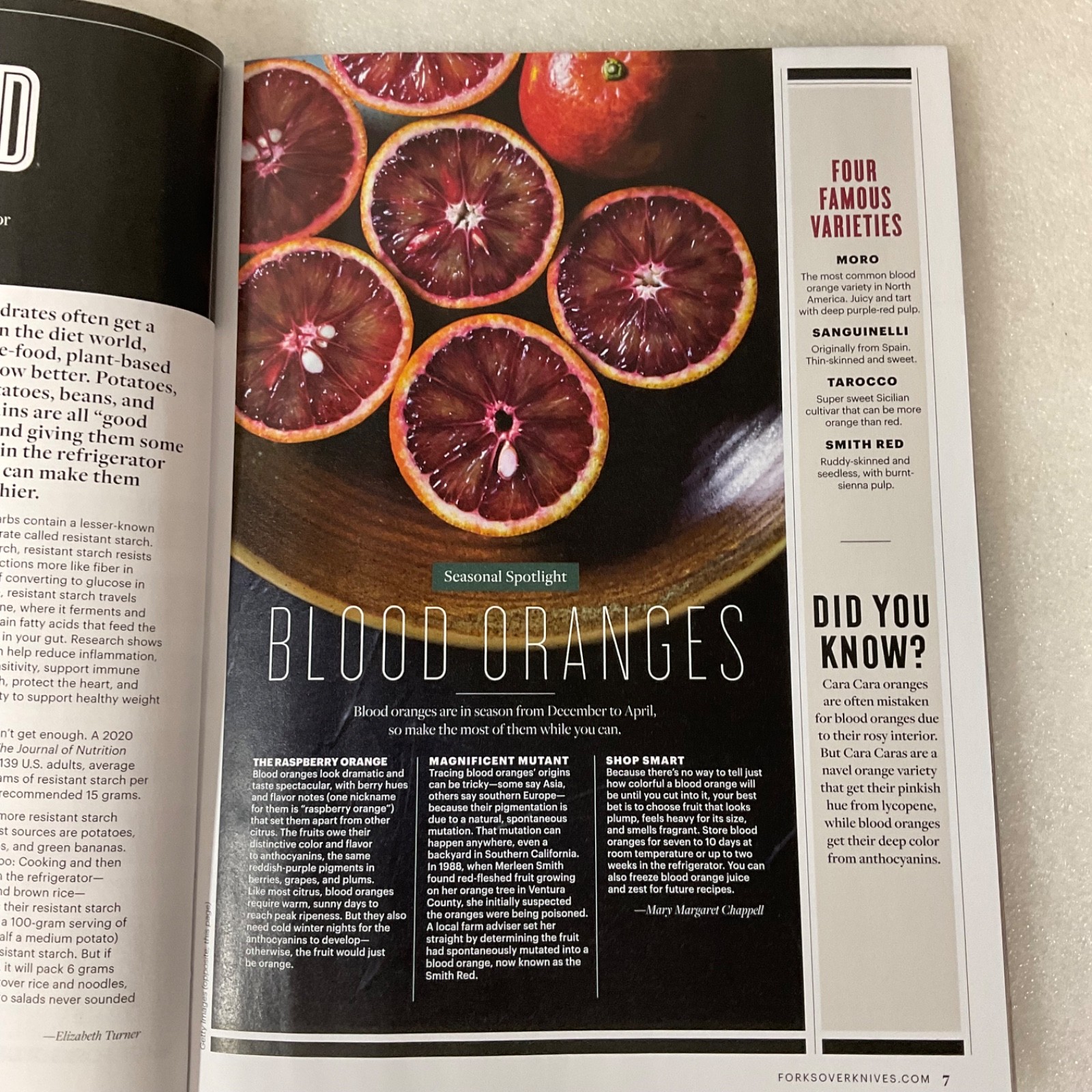 Forks Over Knives Plant Based Magazine Winter 2026 Cozy Comfort Meals - Image 13