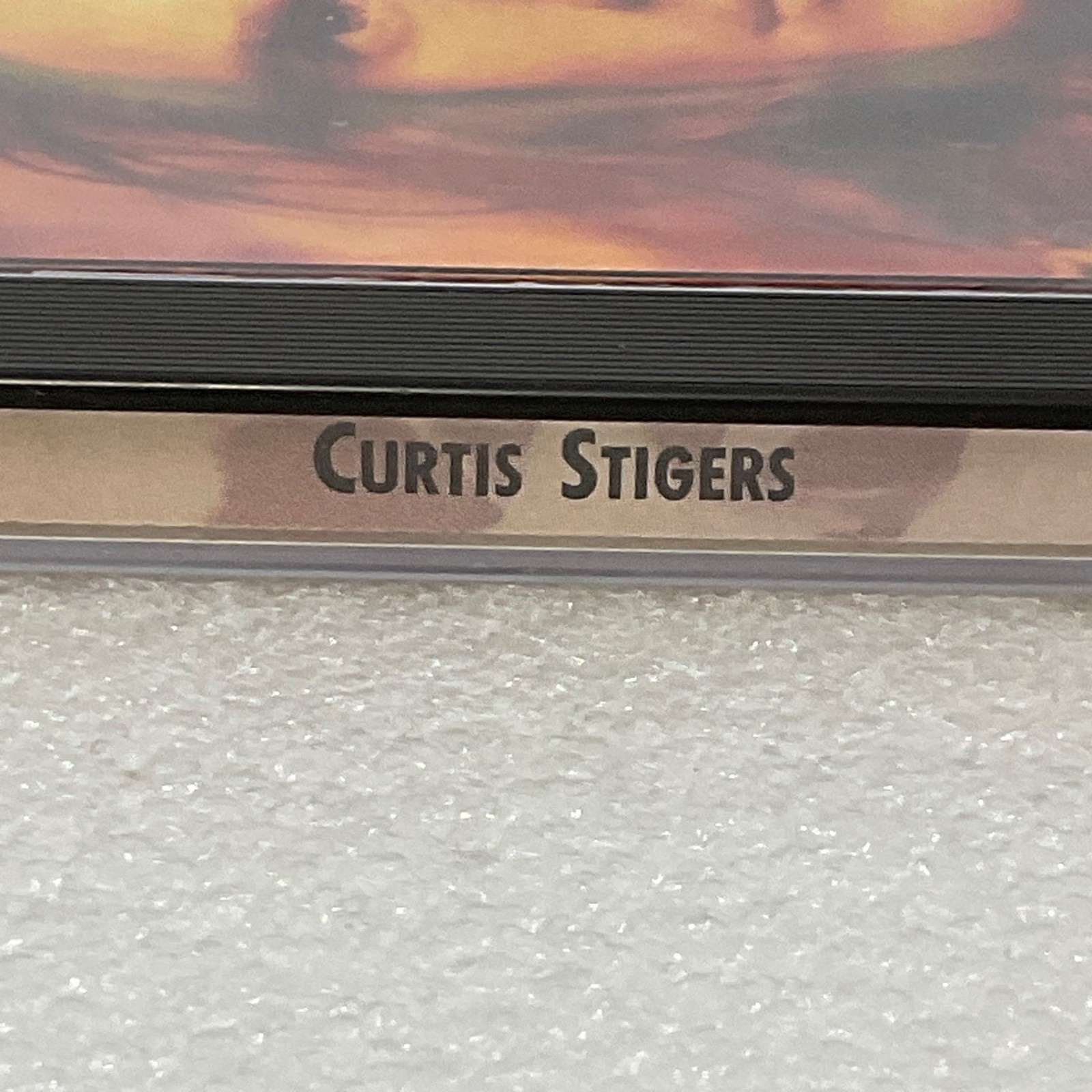 Curtis Stigers Self-Titled CD 1991 Arista Jazz Pop Rock - Image 5