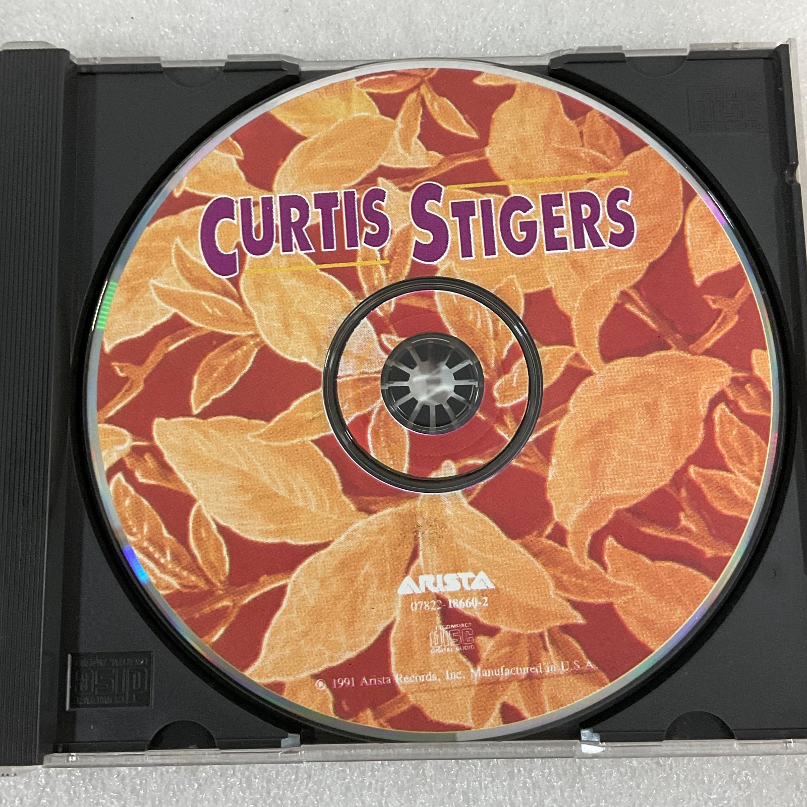 Curtis Stigers Self-Titled CD 1991 Arista Jazz Pop Rock - Image 13