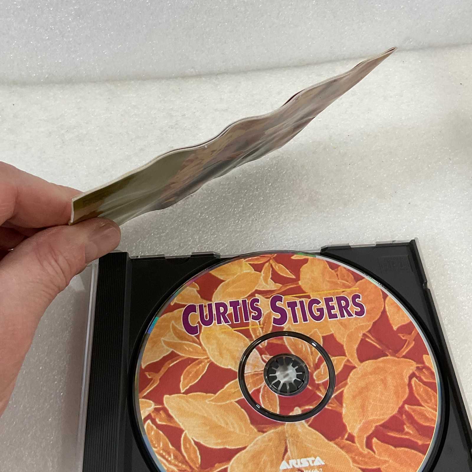 Curtis Stigers Self-Titled CD 1991 Arista Jazz Pop Rock - Image 14