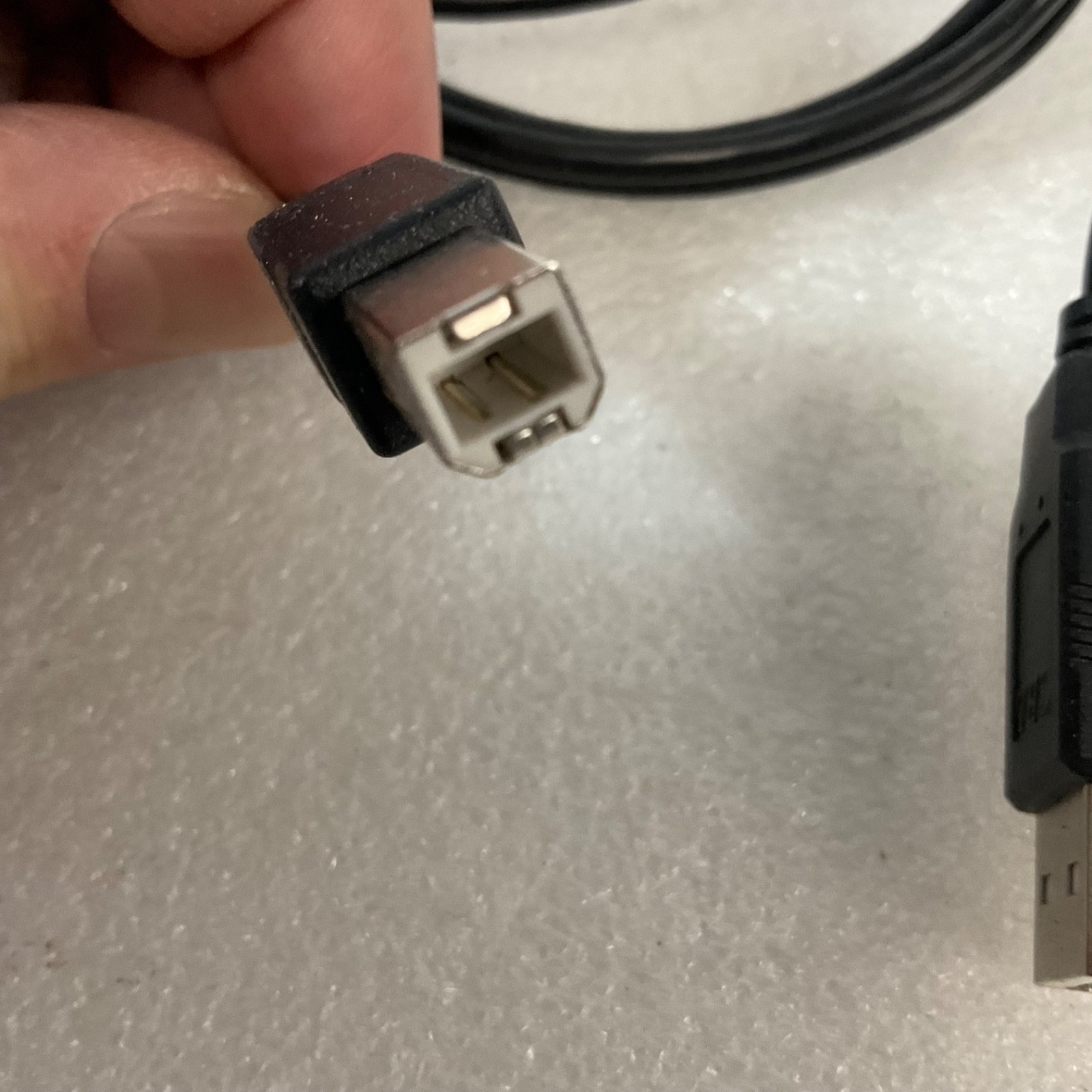 USB A to USB B Printer Cable 60 in Black Standard Male Connectors - Image 3