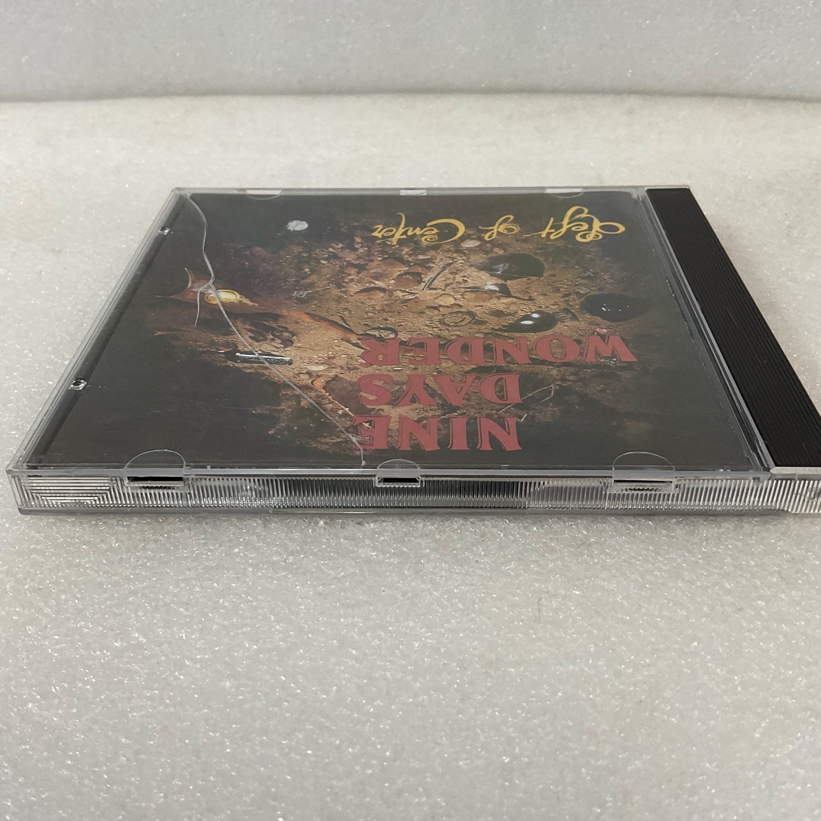 Nine Days Wonder Left of Center CD Rare Cover Art Earth Pig Records 1990 - Image 6