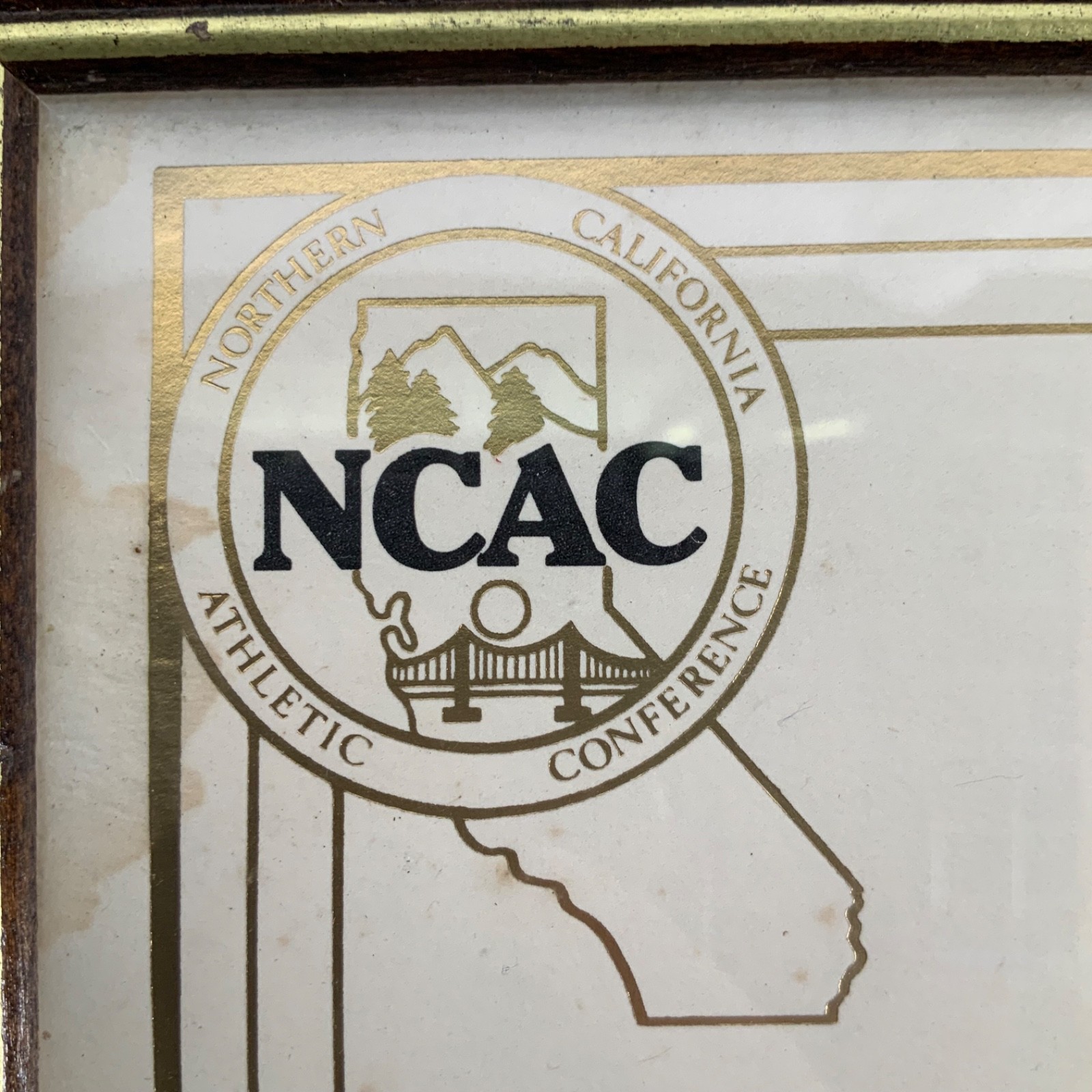 1989-90 NCAC Gary Brower Wrestling All Conference 118 lb Award Framed - Image 5