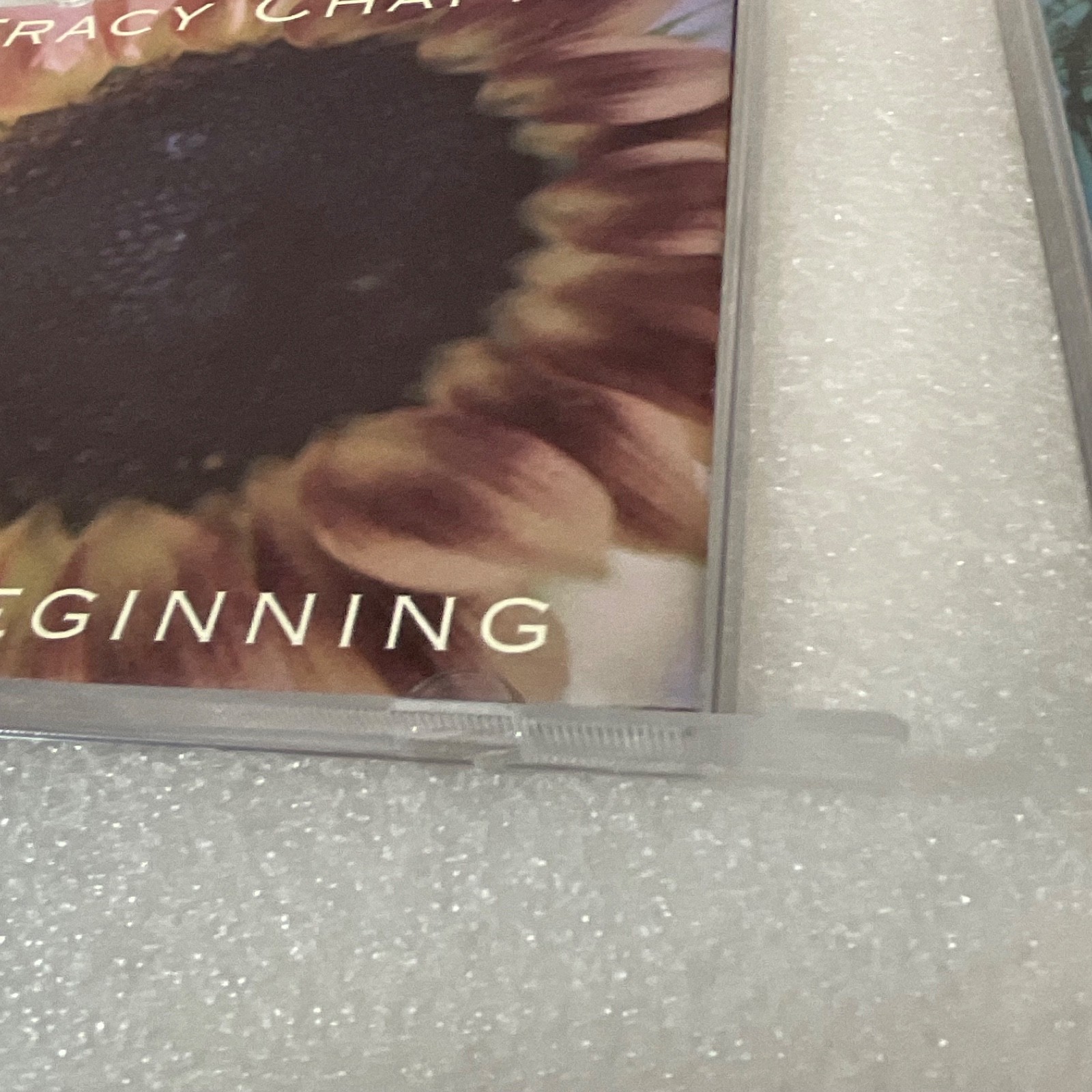 Tracy Chapman New Beginning CD Album Elektra 61850-2 - Image 11