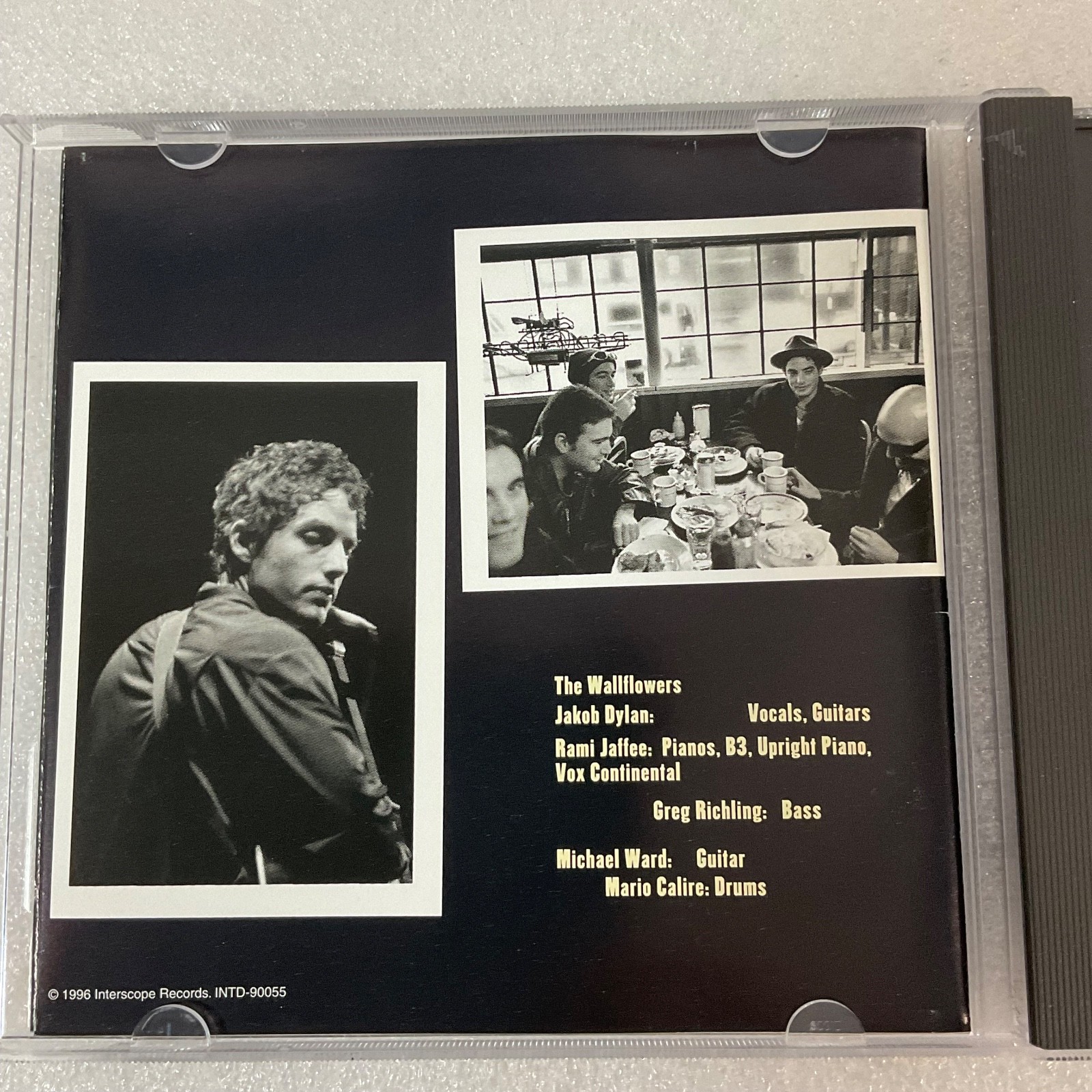 Wallflowers Bringing Down The Horse CD Album 1996 Interscope INTD-90055 - Image 9