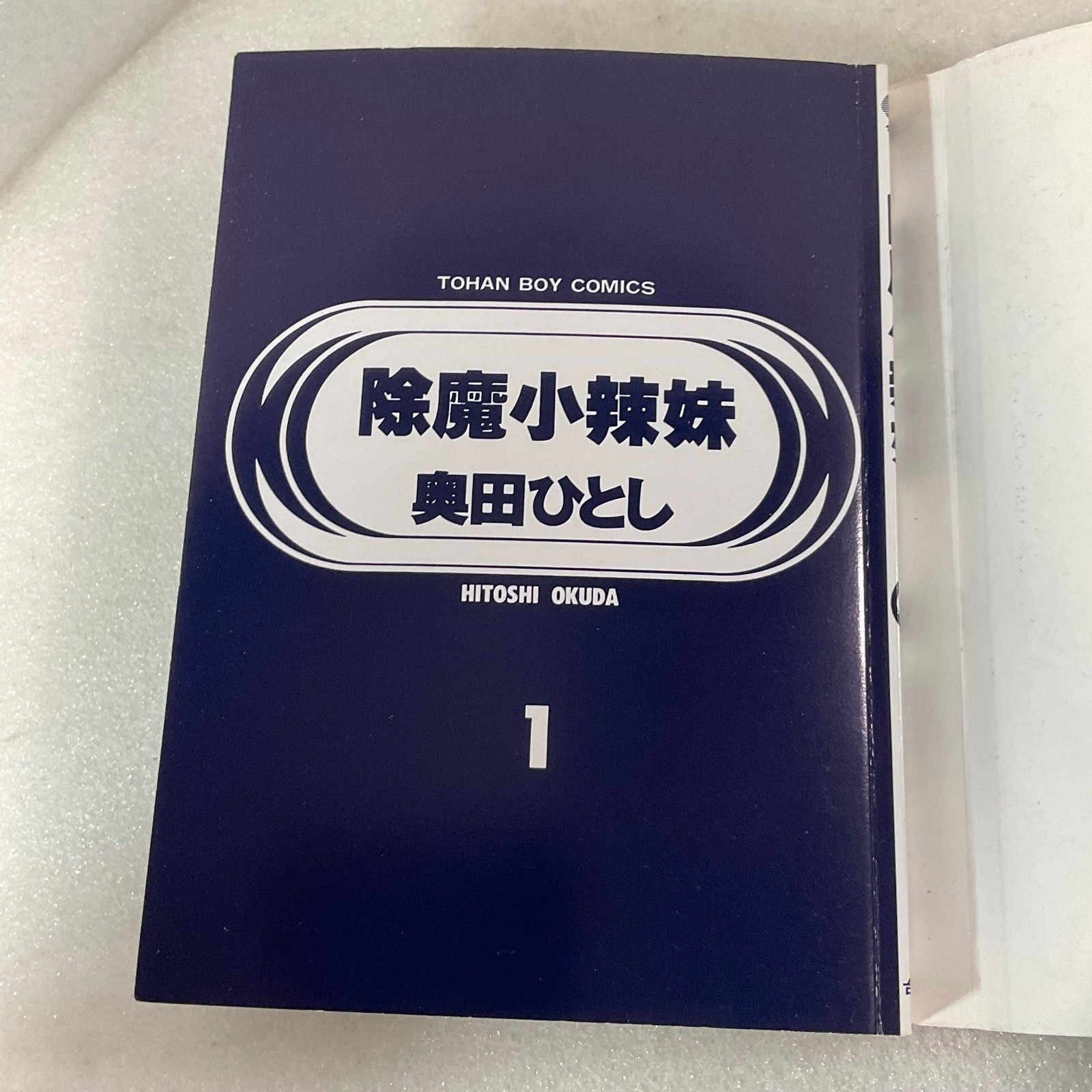 Radical Guardian Vol 1 Manga Book Hitoshi Okuda Chinese Edition Taiwan - Image 14