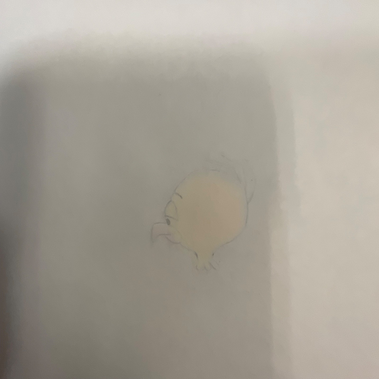 Vintage Duck Animation Cel Yellow Bird 12.5in x 10in Hand Painted Production Art - Image 4