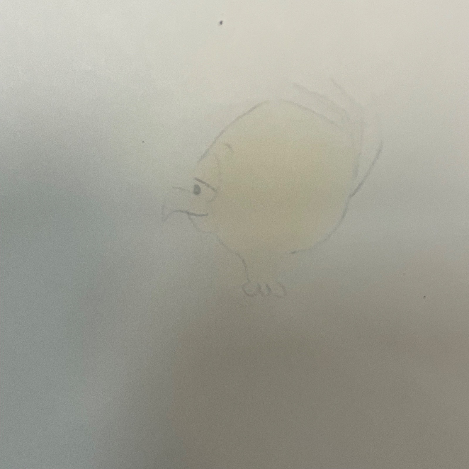 Duck Animation Cel Small Yellow Bird 80's Era TV Production Art - Image 8