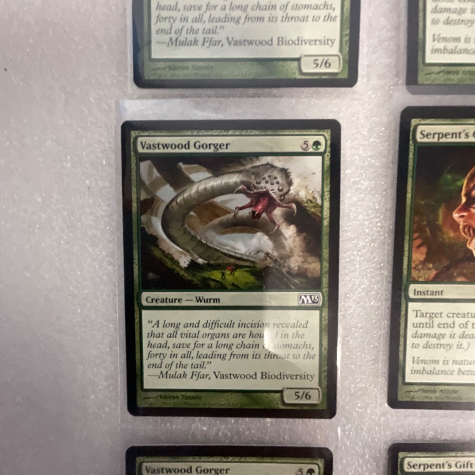 Magic the Gathering Lot of 20 Green M13 Vastwood Gorger Fungal Sprouting - Image 3
