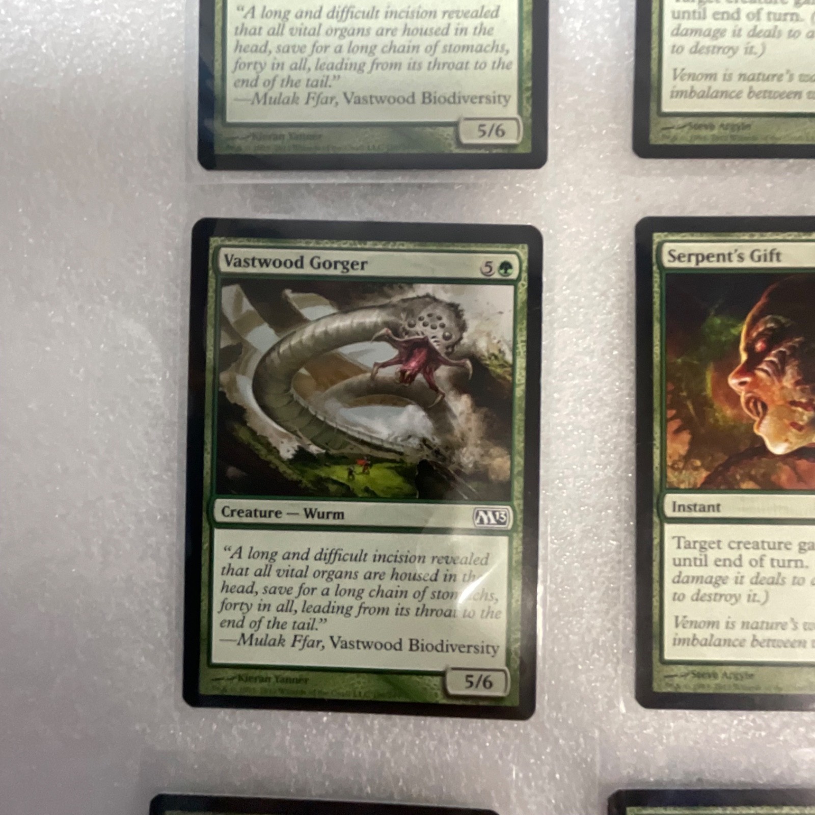 Magic the Gathering Lot of 20 Green M13 Vastwood Gorger Fungal Sprouting - Image 4