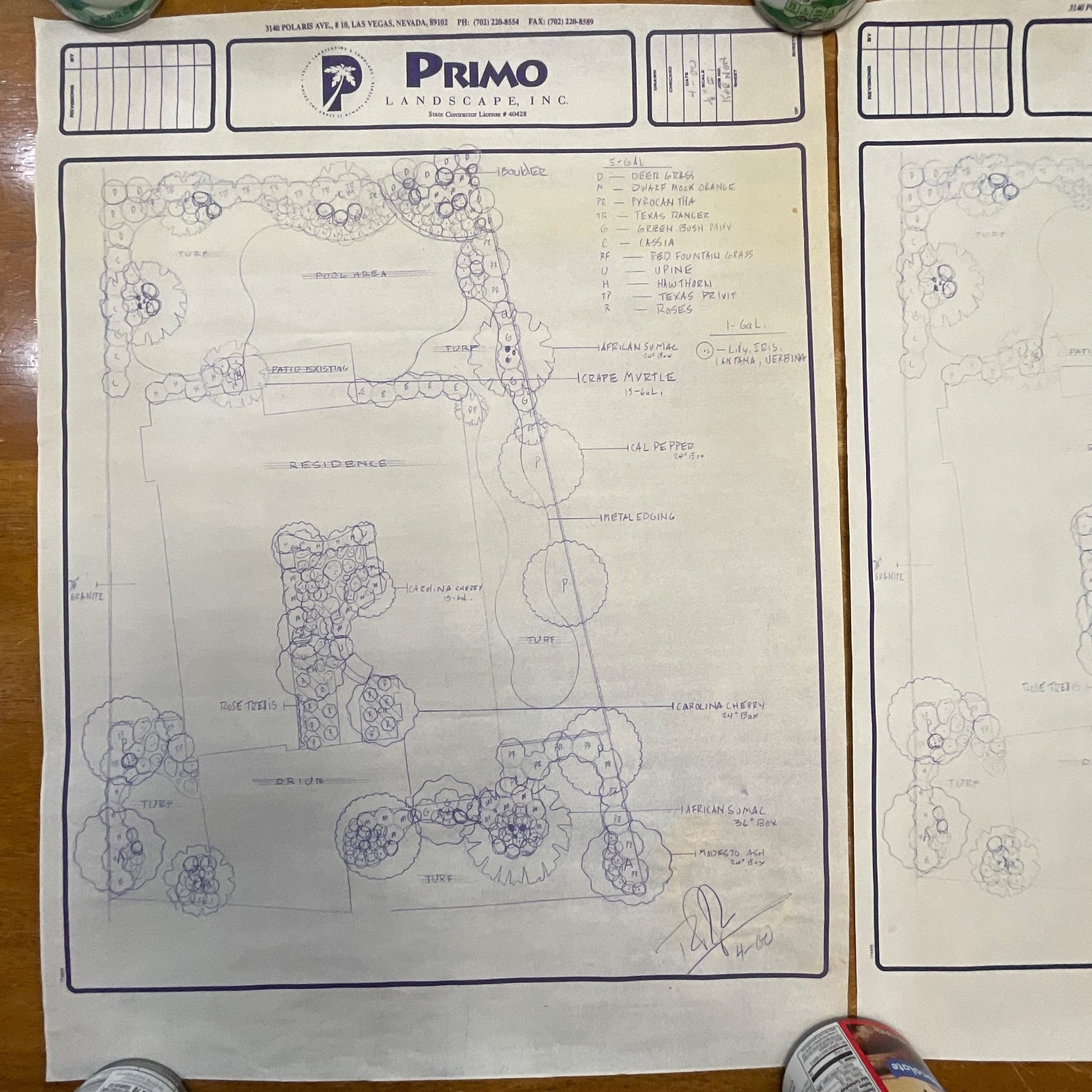 Pair Landscape Design Drawings 24in x 18in Primo Landscape Inc Rolled Storage - Image 2