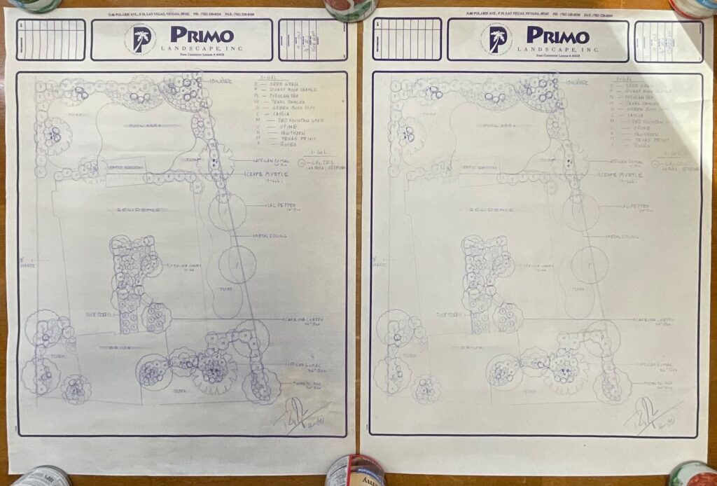 Pair Landscape Design Drawings 24in x 18in Primo Landscape Inc Rolled Storage - Image 1
