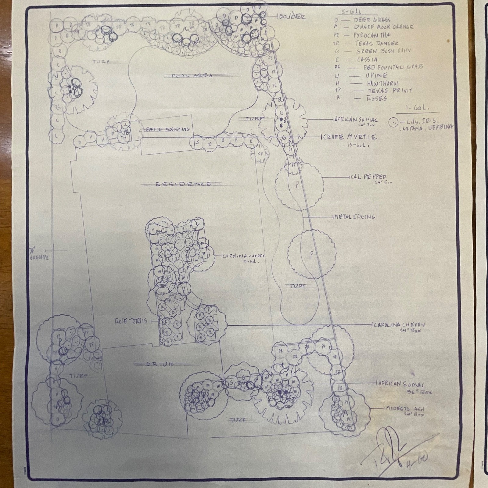 Pair Landscape Design Drawings 24in x 18in Primo Landscape Inc Rolled Storage - Image 4