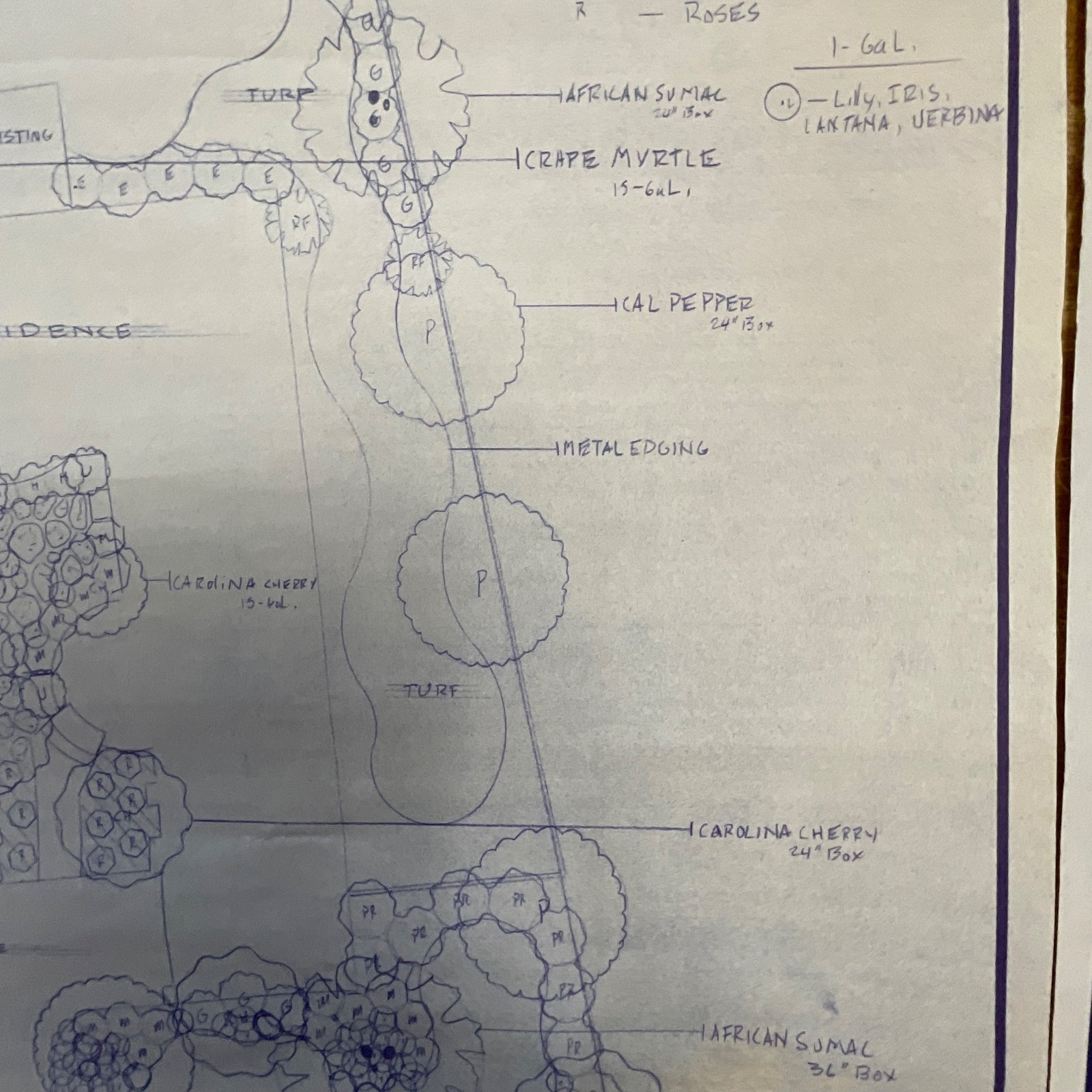 Pair Landscape Design Drawings 24in x 18in Primo Landscape Inc Rolled Storage - Image 9