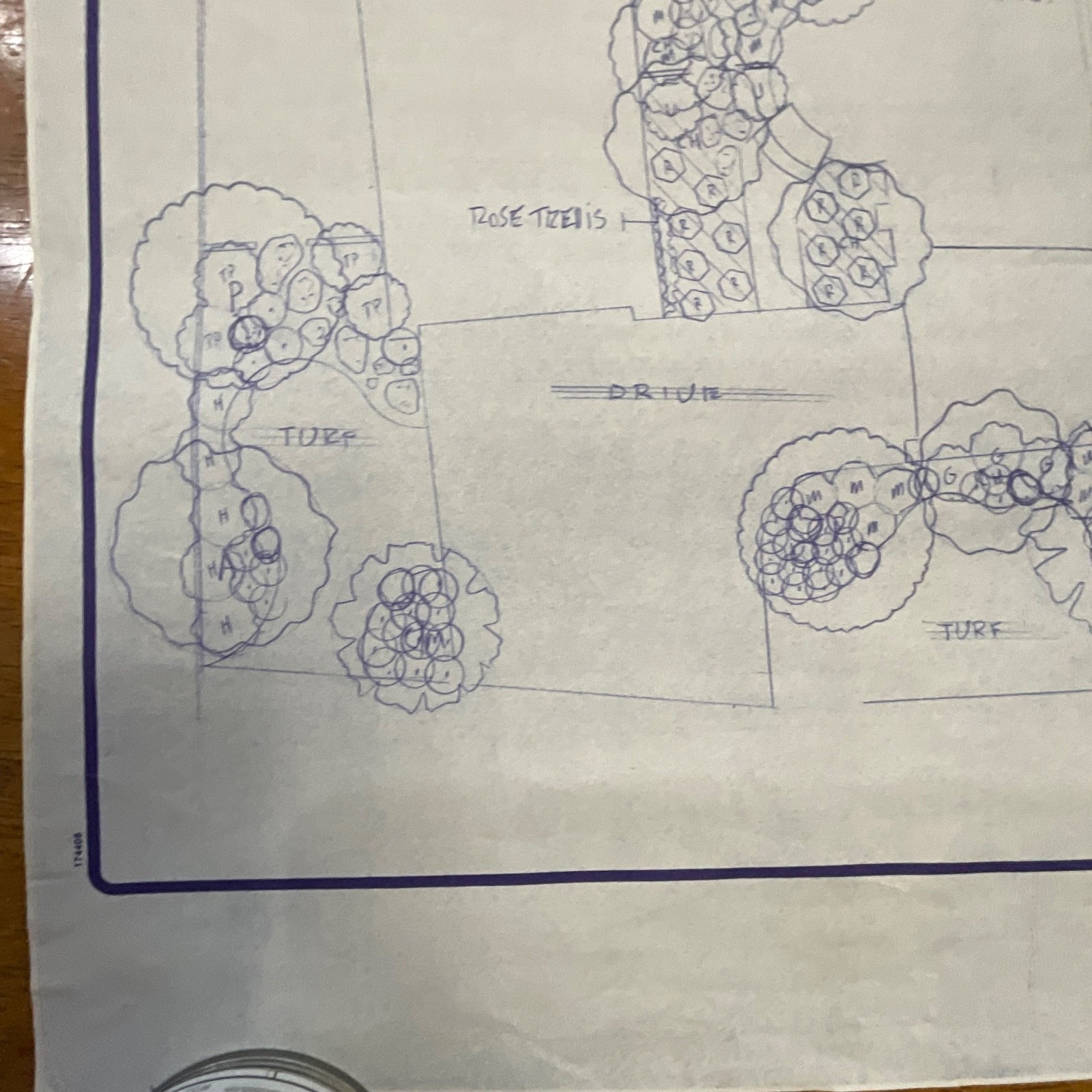 Pair Landscape Design Drawings 24in x 18in Primo Landscape Inc Rolled Storage - Image 11