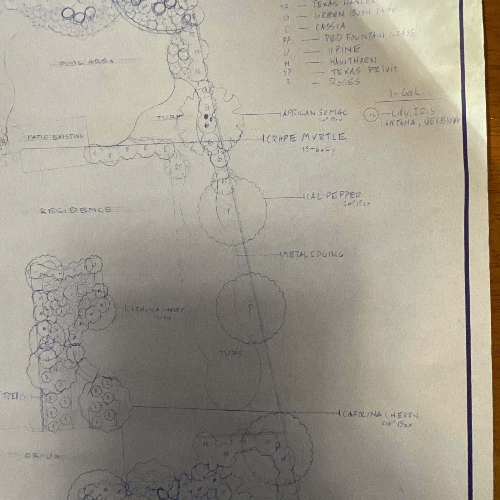 Pair Landscape Design Drawings 24in x 18in Primo Landscape Inc Rolled Storage - Image 16