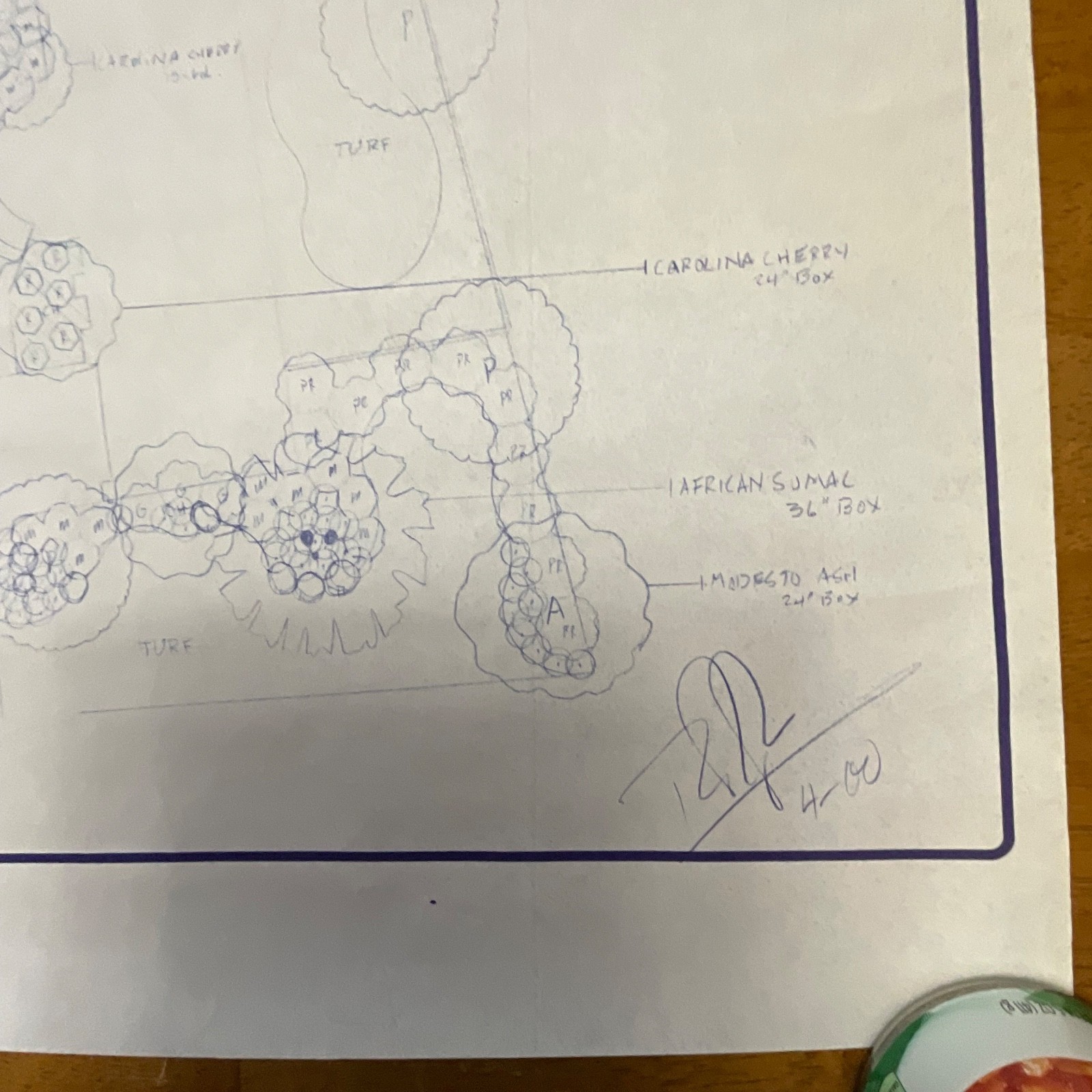 Pair Landscape Design Drawings 24in x 18in Primo Landscape Inc Rolled Storage - Image 17