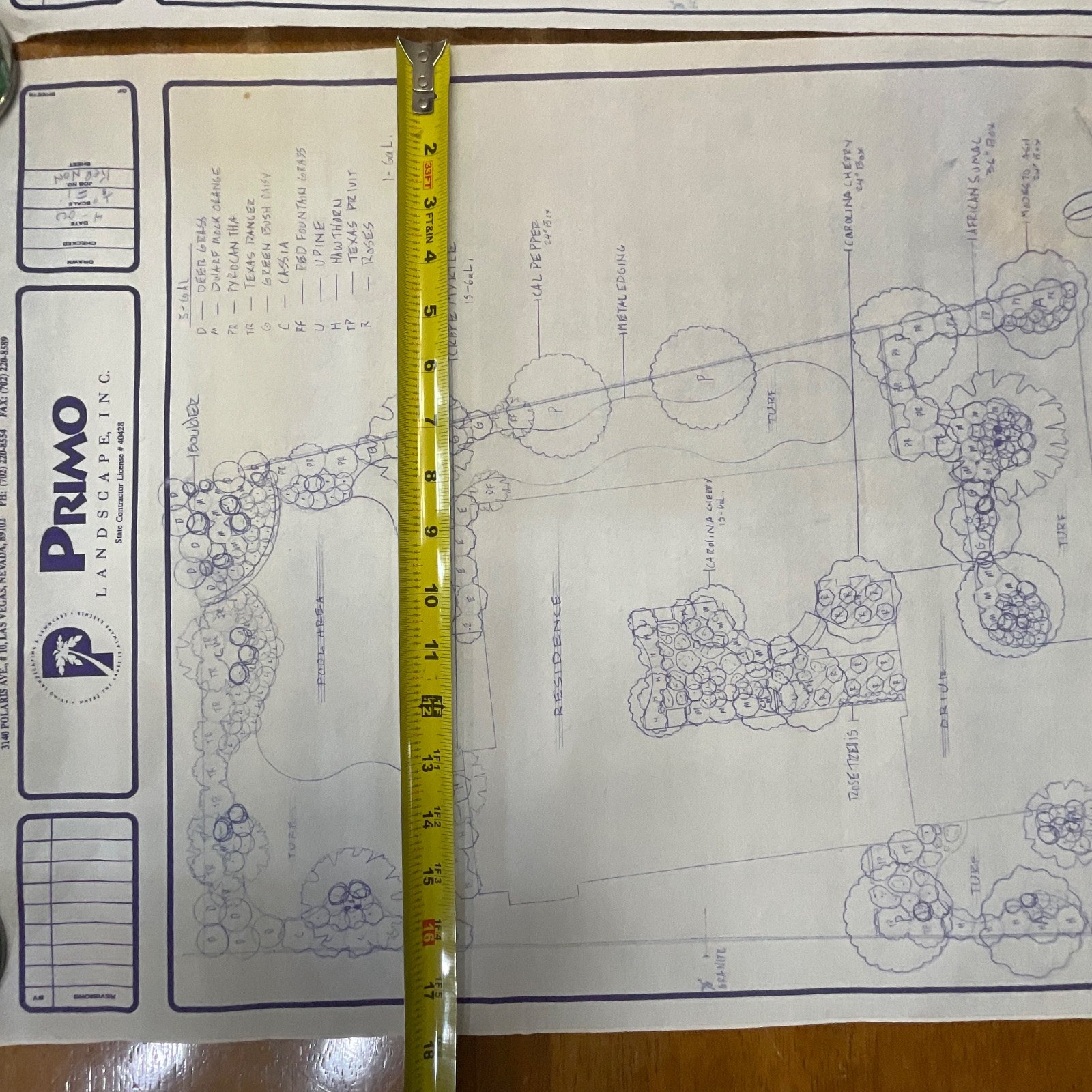 Pair Landscape Design Drawings 24in x 18in Primo Landscape Inc Rolled Storage - Image 22