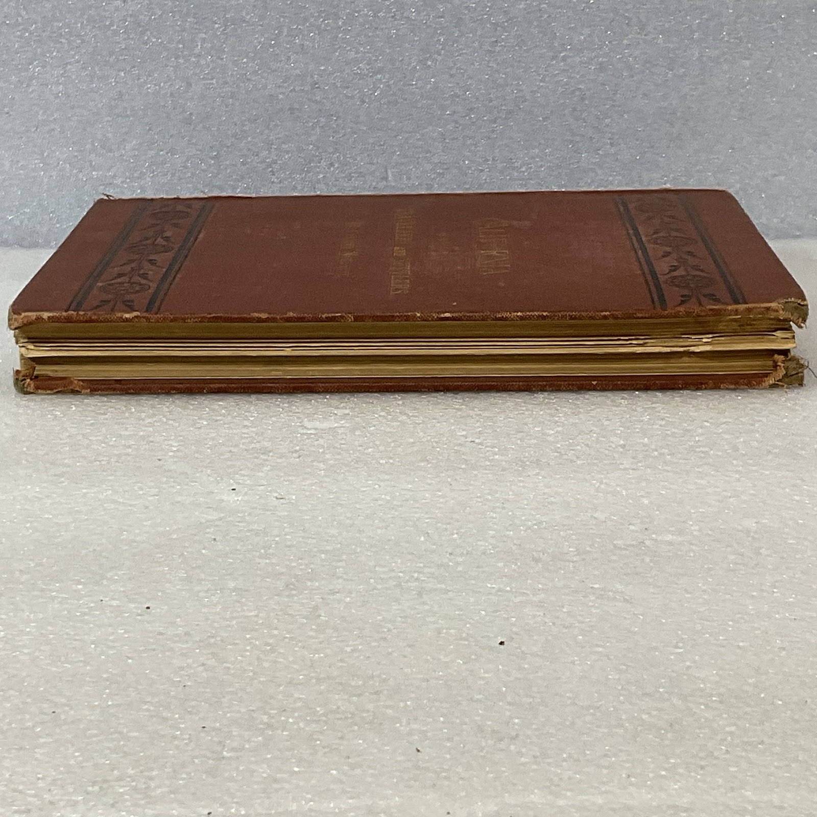 California Travellers & Settlers Book by Charles Nordhoff 1873 Harper - Image 6