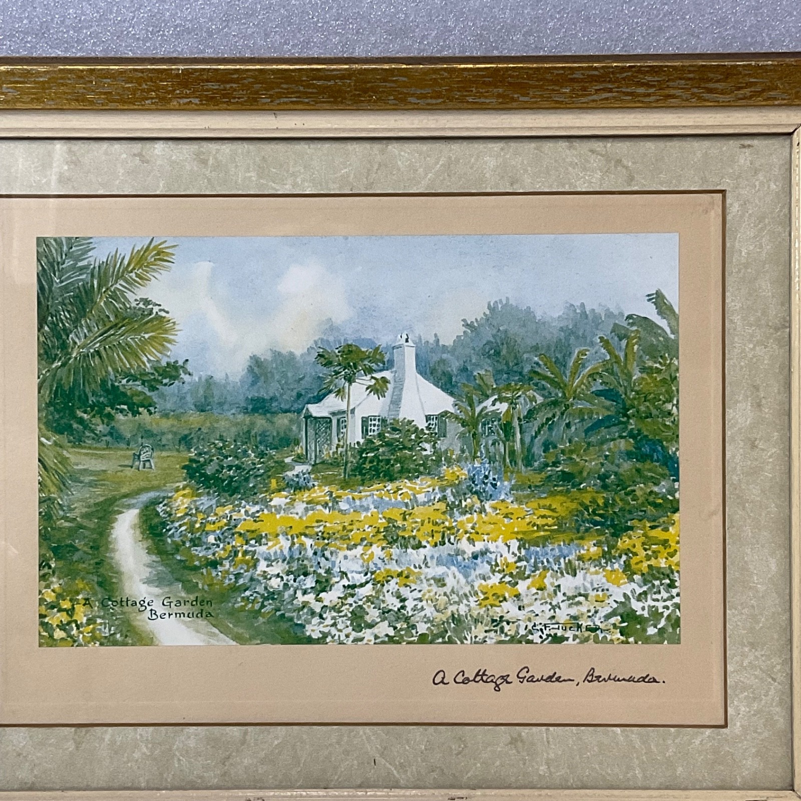 E Tucker A Cottage Garden Bermuda Framed Print Under Glass 13.25x10.5in - Image 3