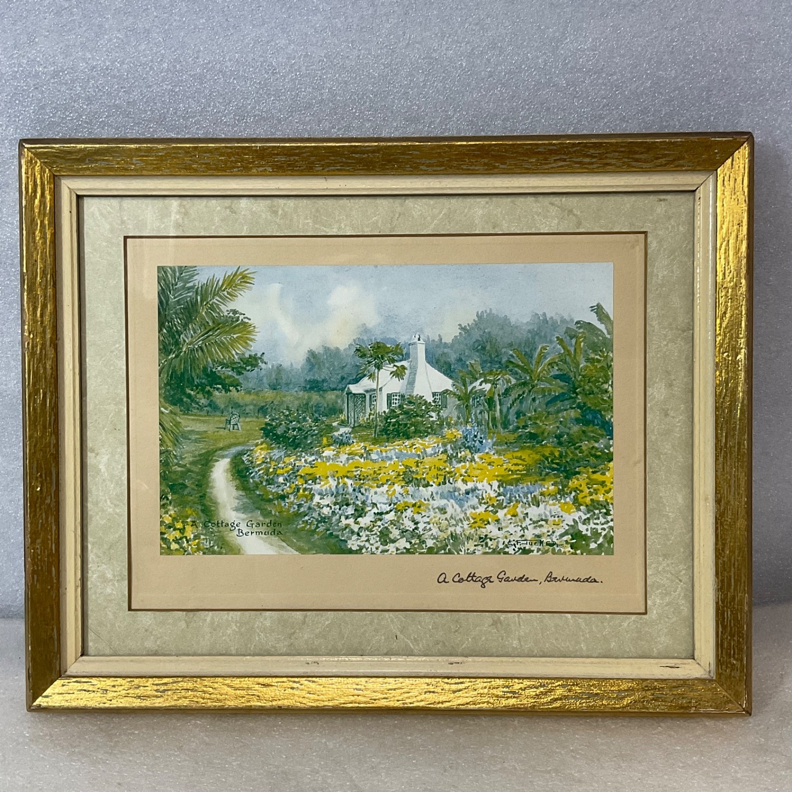 E Tucker A Cottage Garden Bermuda Framed Print Under Glass 13.25x10.5in - Image 2