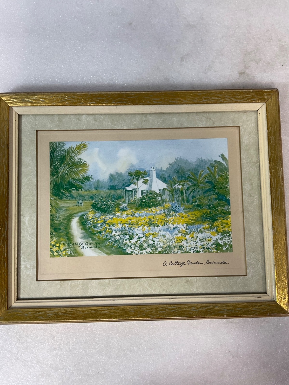E Tucker A Cottage Garden Bermuda Framed Print Under Glass 13.25x10.5in - Image 1