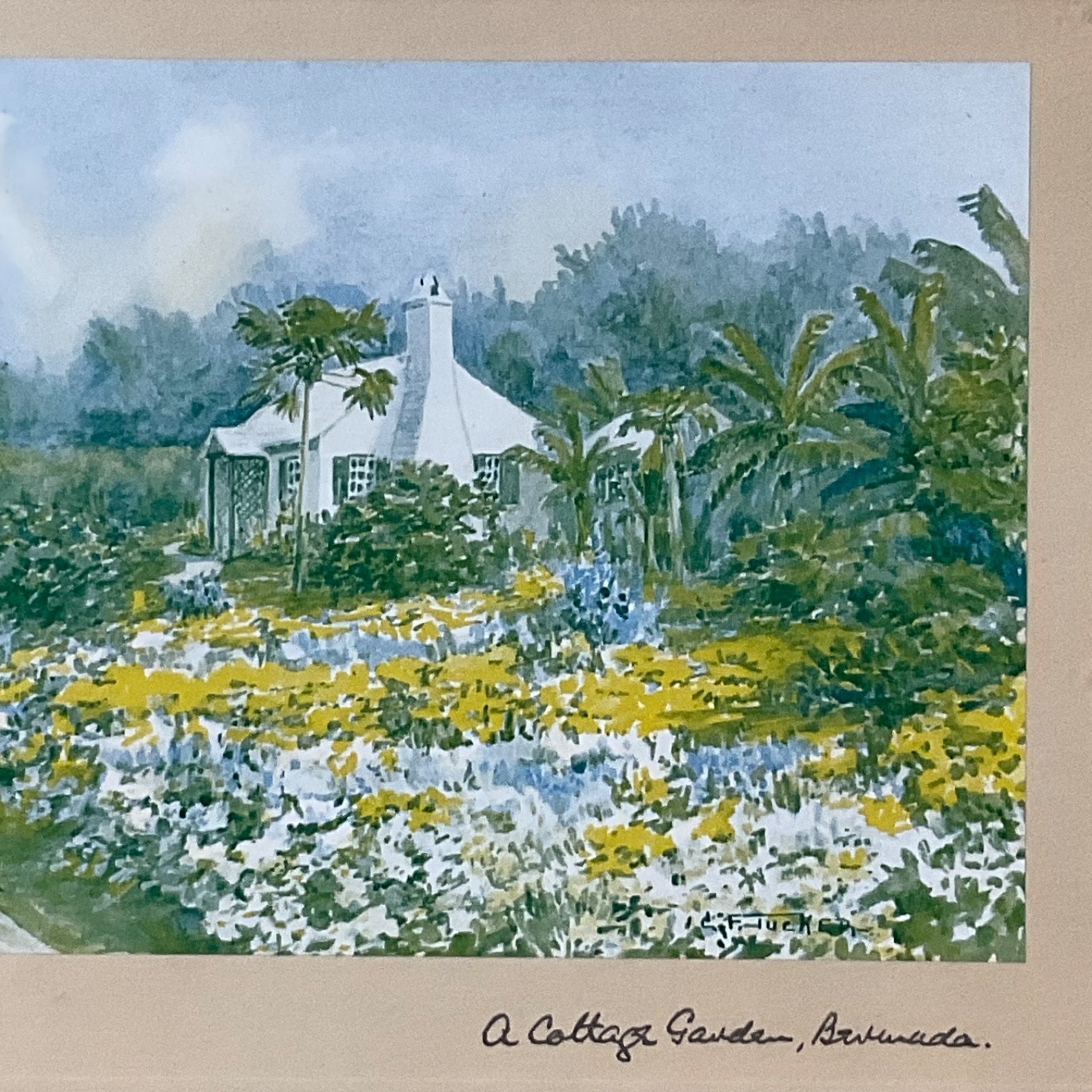 E Tucker A Cottage Garden Bermuda Framed Print Under Glass 13.25x10.5in - Image 6