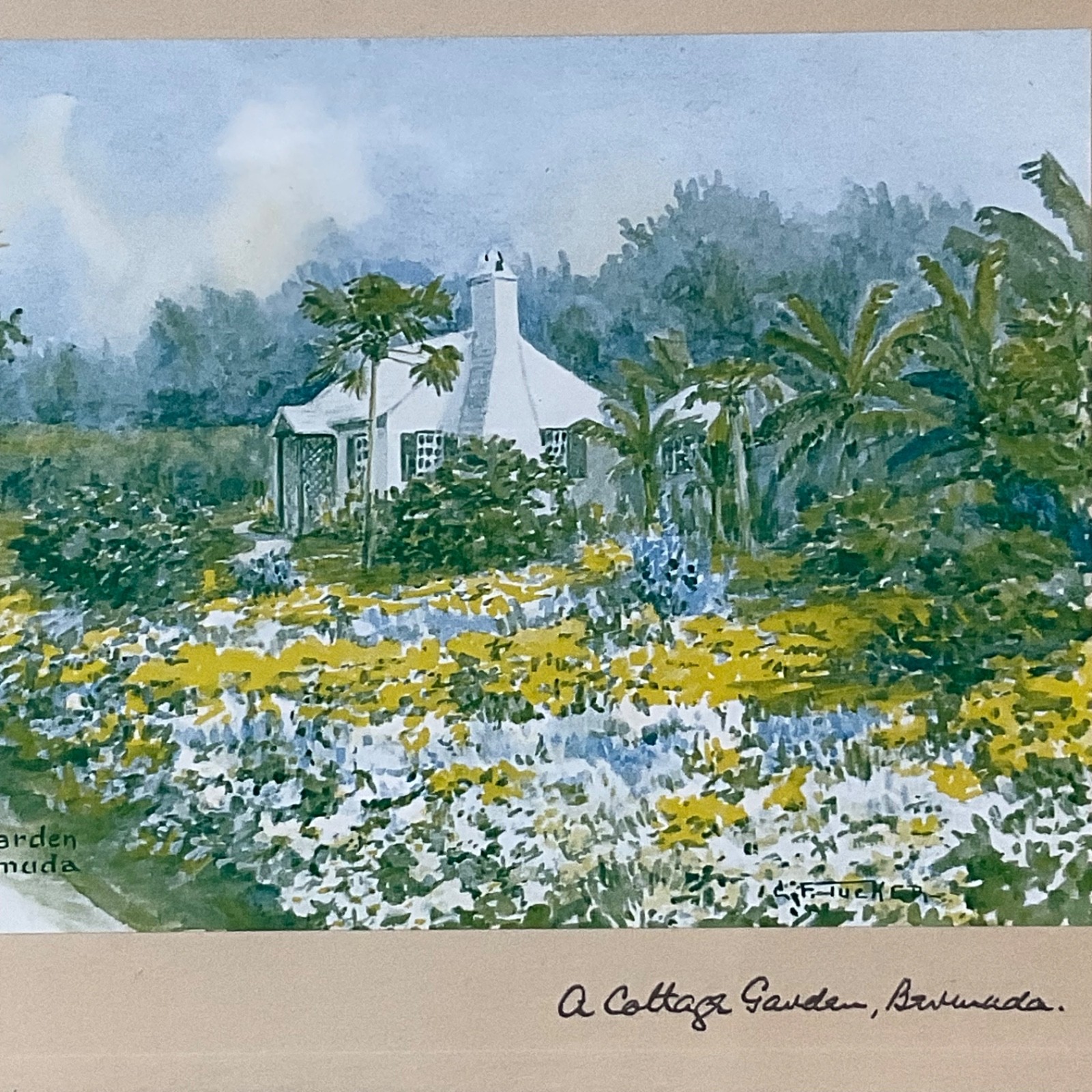 E Tucker A Cottage Garden Bermuda Framed Print Under Glass 13.25x10.5in - Image 5