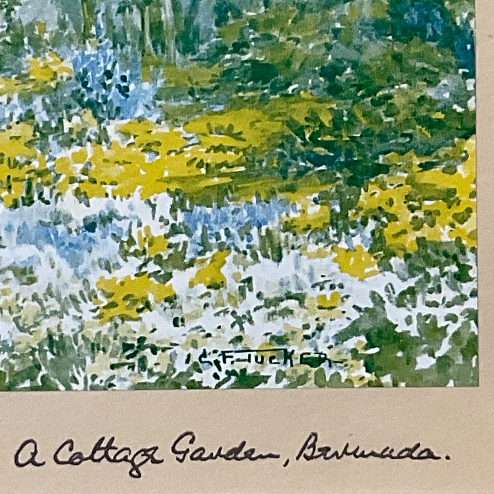 E Tucker A Cottage Garden Bermuda Framed Print Under Glass 13.25x10.5in - Image 7