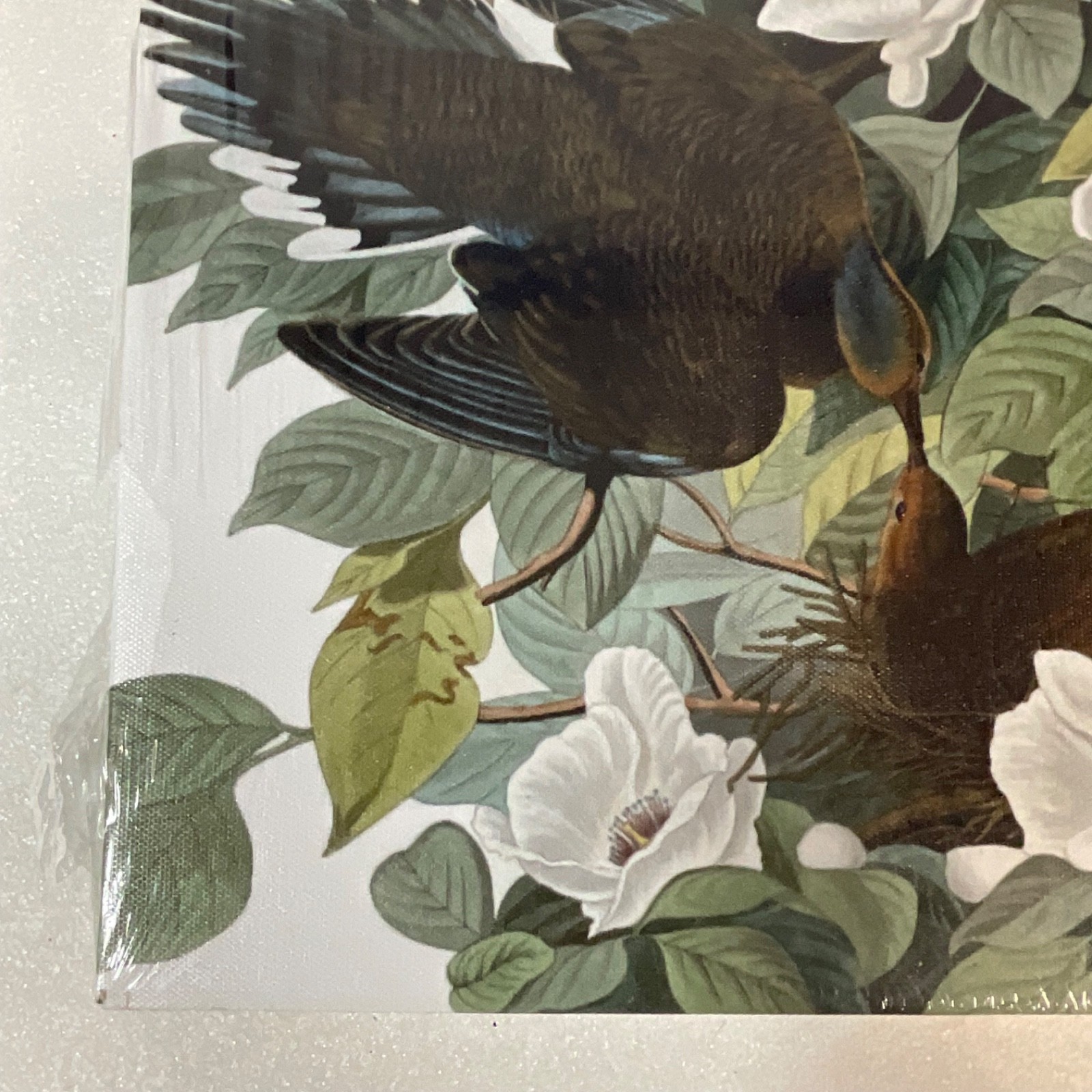 MDF Gallery Wrap Bird Floral Wall Art 12in x 18in x 1.5in Sealed - Image 7