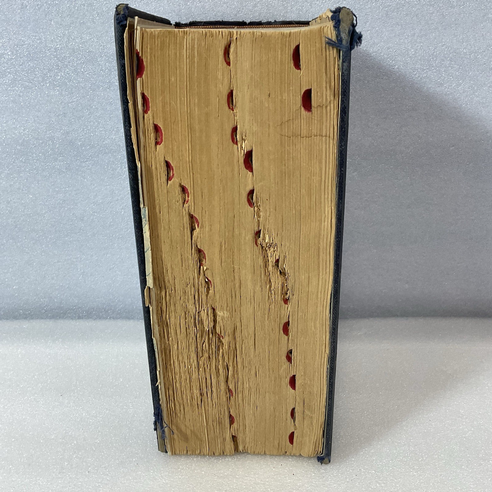 1943 Webster's New Twentieth Century Dictionary Unabridged - Worn - Image 7