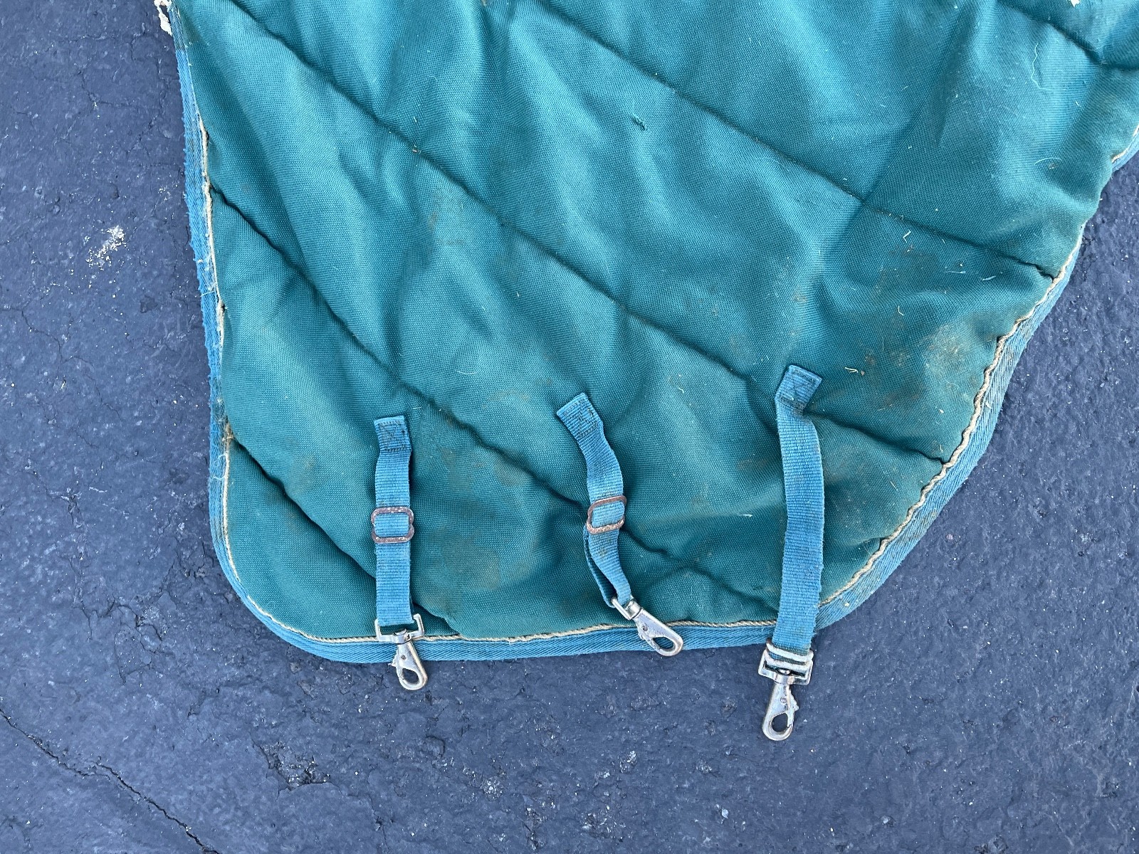 Schneiders SuperQuilt Adjusta-Fit Horse Blanket 60in x 40in Green Padded Stable - Image 2