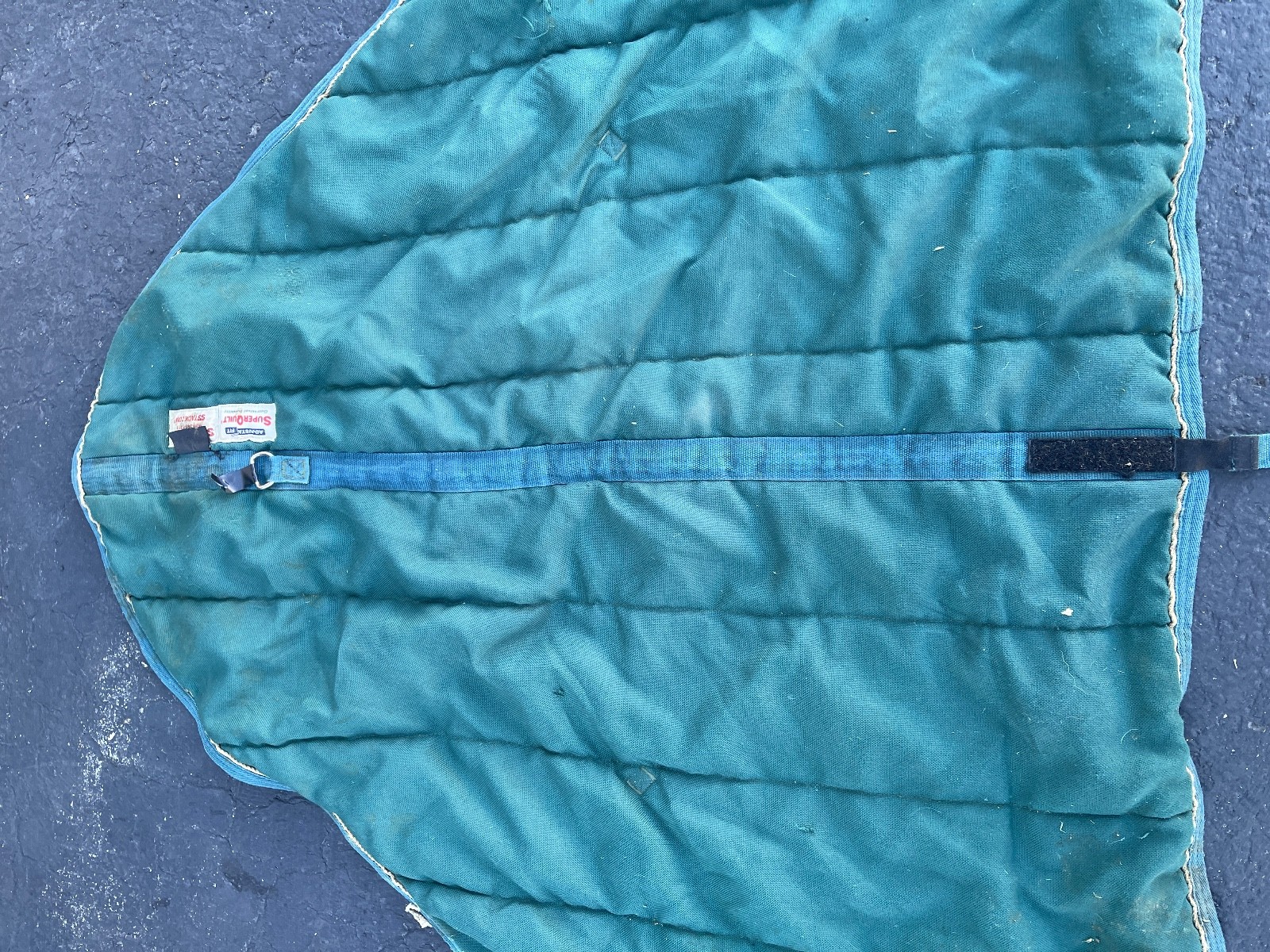 Schneiders SuperQuilt Adjusta-Fit Horse Blanket 60in x 40in Green Padded Stable - Image 3