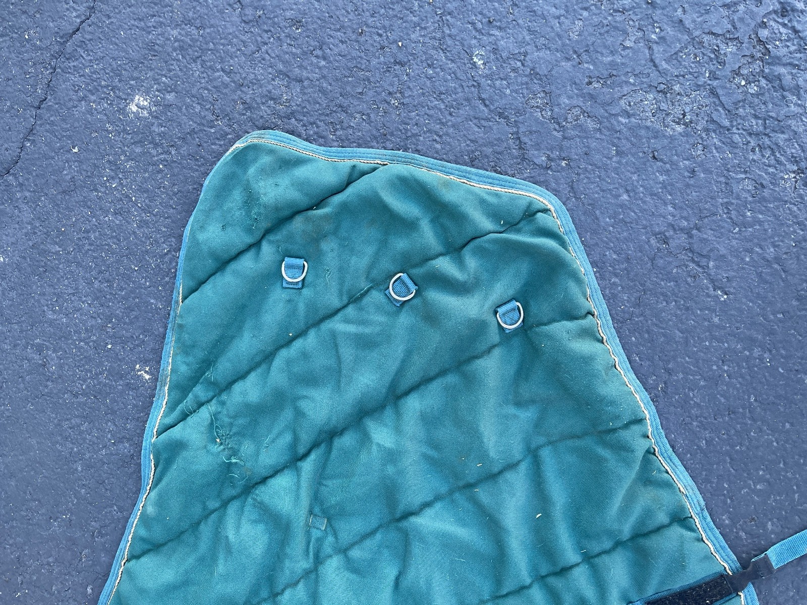 Schneiders SuperQuilt Adjusta-Fit Horse Blanket 60in x 40in Green Padded Stable - Image 4