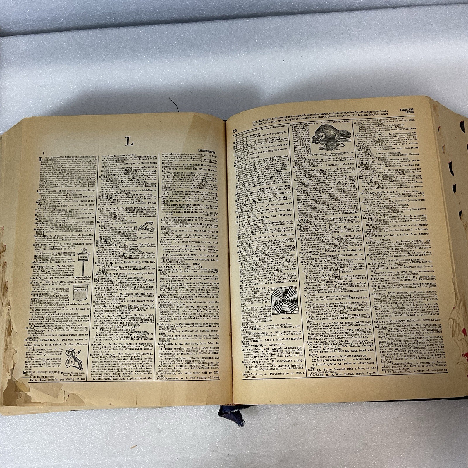 1943 Webster's New Twentieth Century Dictionary Unabridged - Worn - Image 23