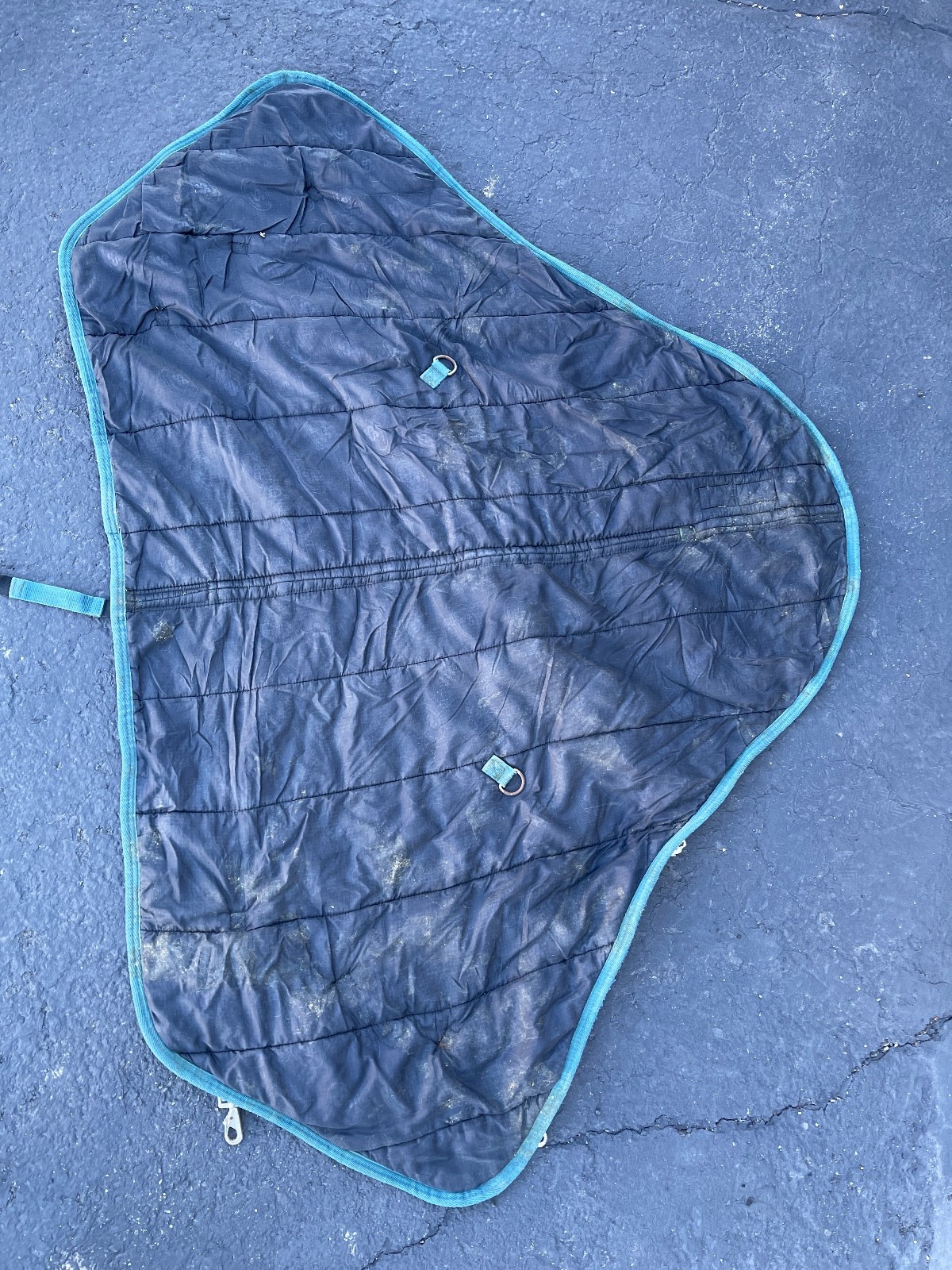 Schneiders SuperQuilt Adjusta-Fit Horse Blanket 60in x 40in Green Padded Stable - Image 13