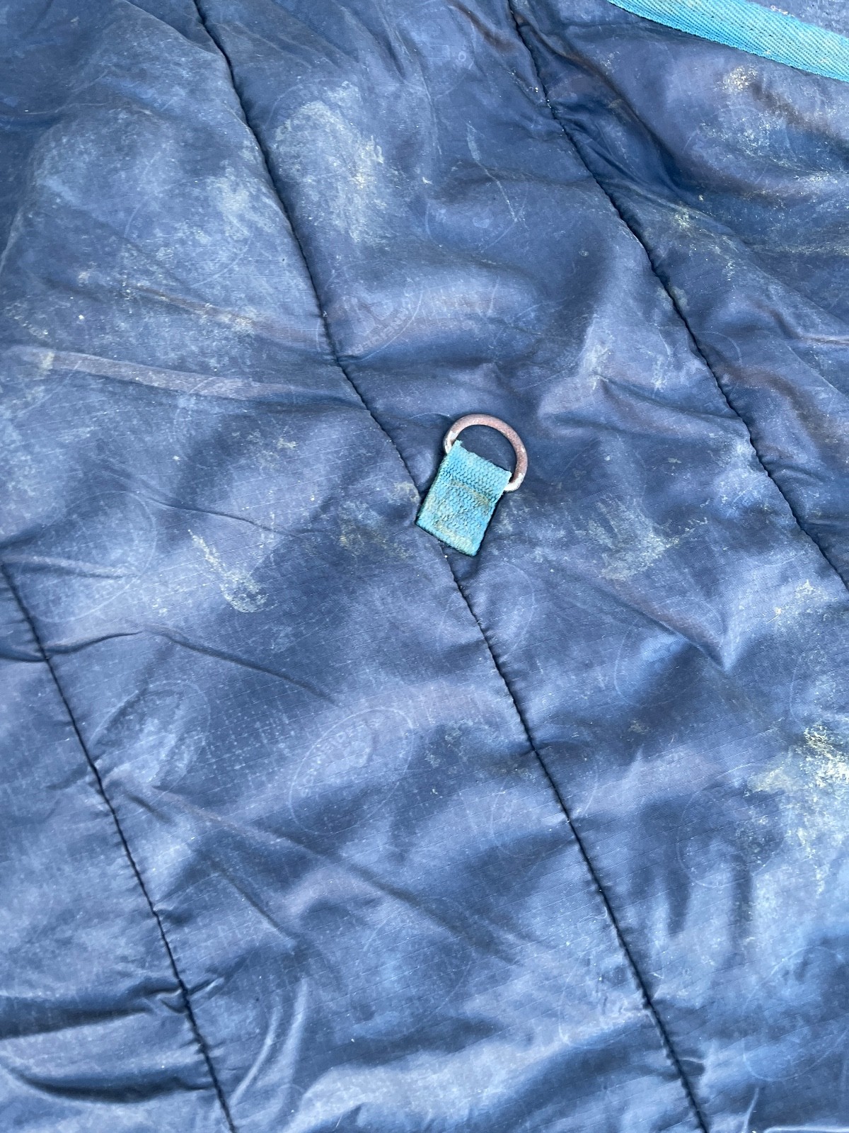 Schneiders SuperQuilt Adjusta-Fit Horse Blanket 60in x 40in Green Padded Stable - Image 17