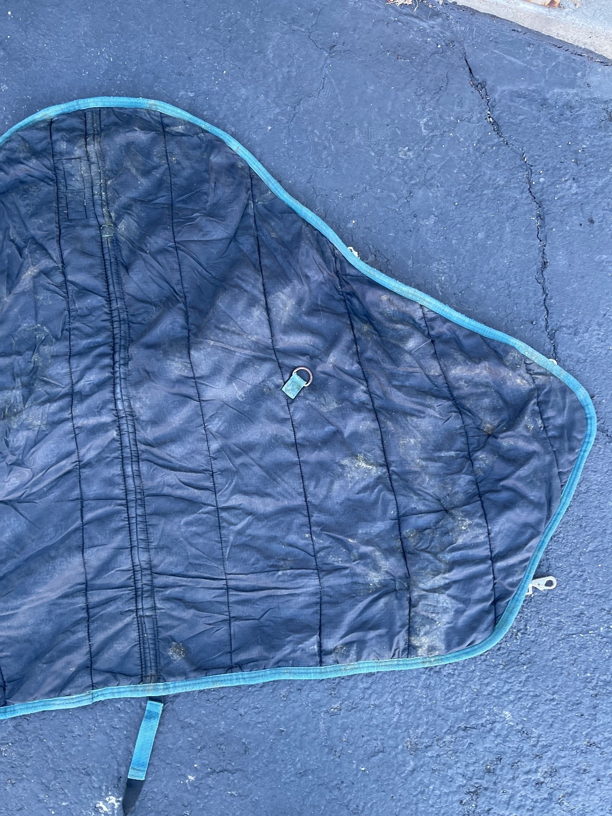 Schneiders SuperQuilt Adjusta-Fit Horse Blanket 60in x 40in Green Padded Stable - Image 14
