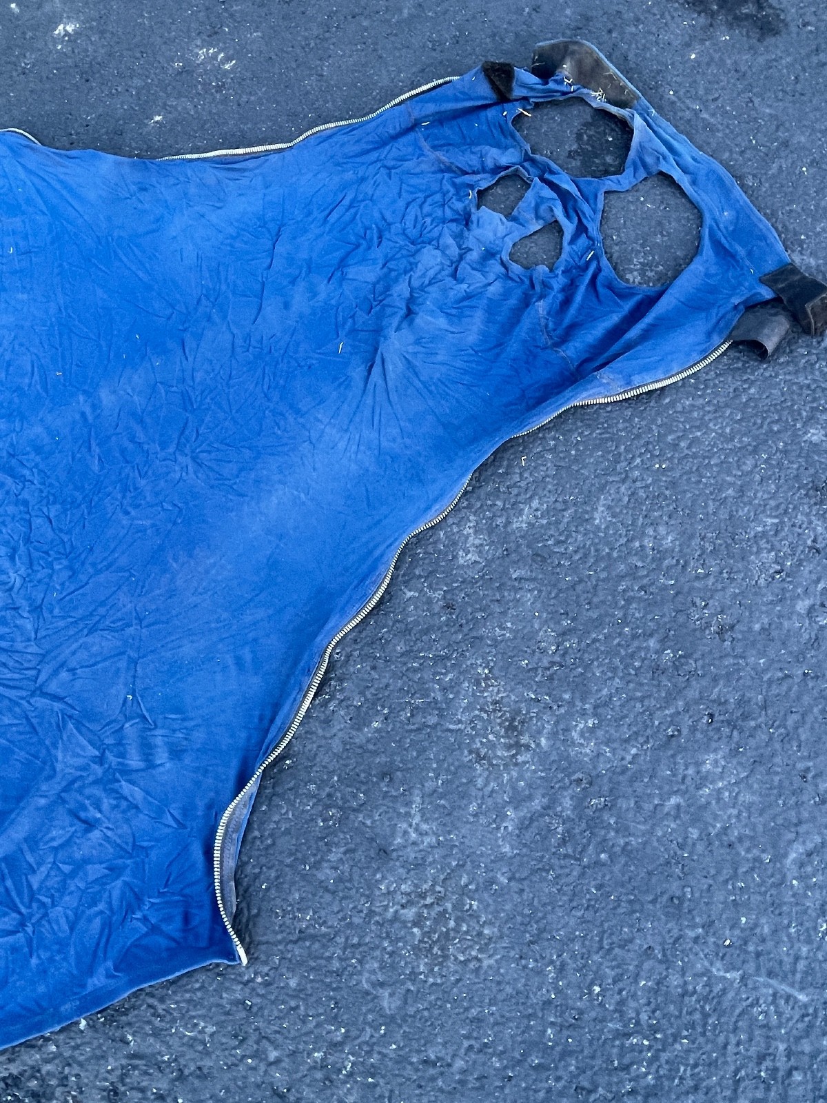 Schneiders Blue Horse Hood Large 56in x 52in Zipper Closure Stretch Sheet - Image 5