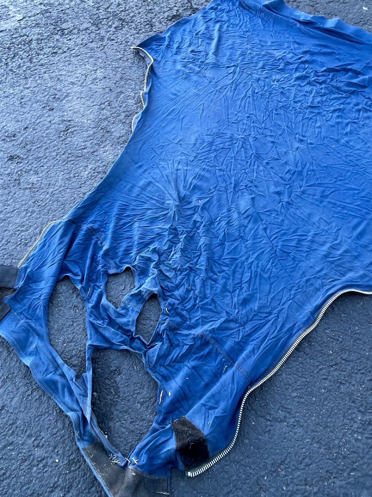 Schneiders Blue Horse Hood Large 56in x 52in Zipper Closure Stretch Sheet - Image 7