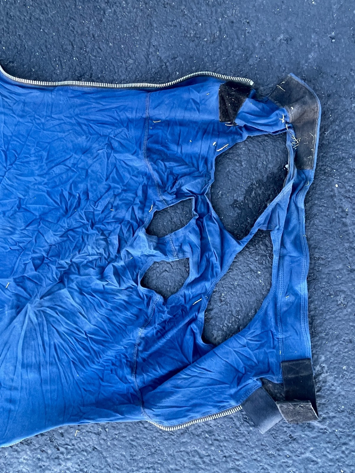 Schneiders Blue Horse Hood Large 56in x 52in Zipper Closure Stretch Sheet - Image 6