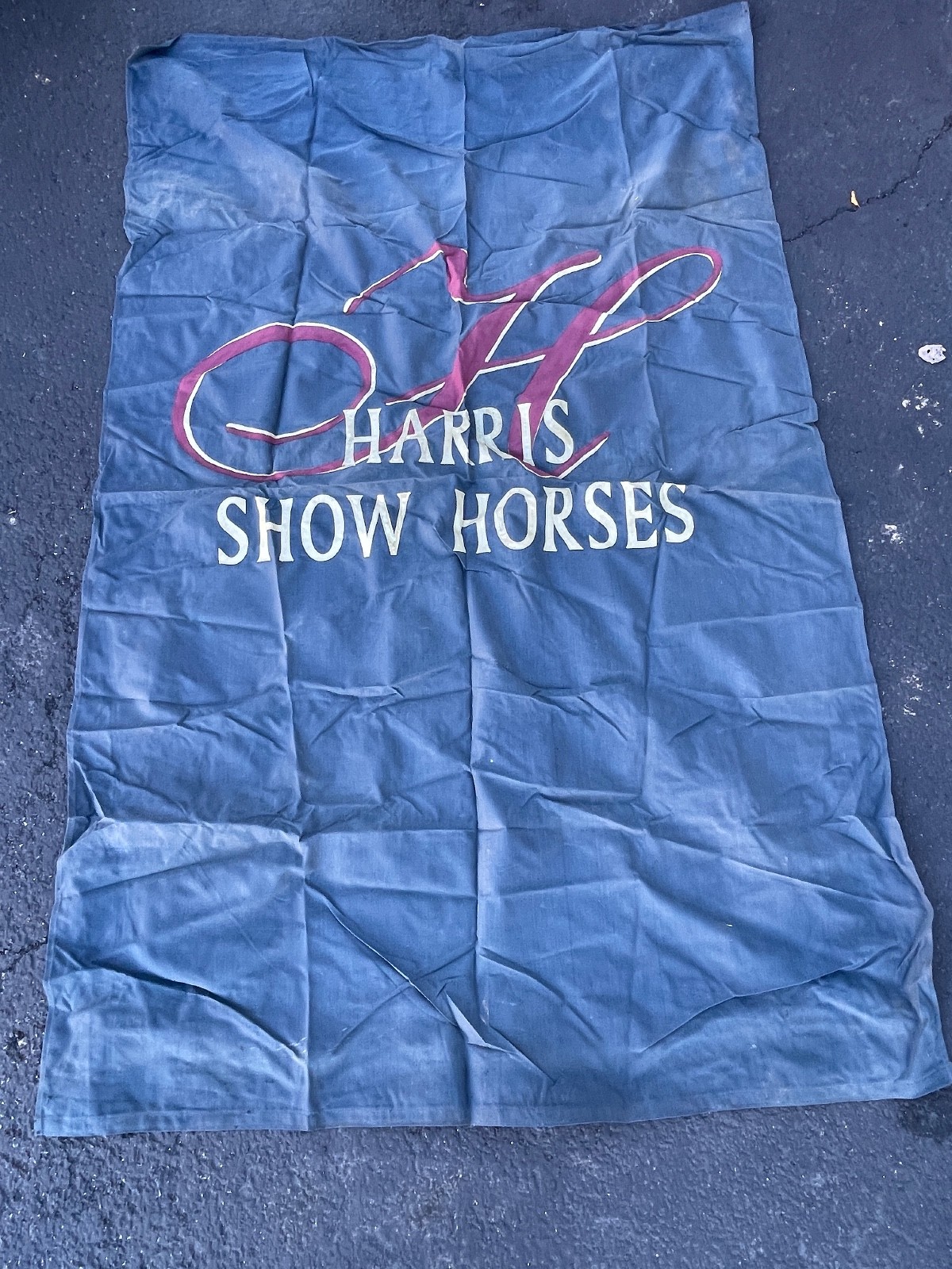 Harris Show Horses 90in x 56in Canvas Banner by Penngard USA Vintage Equestrian - Image 1