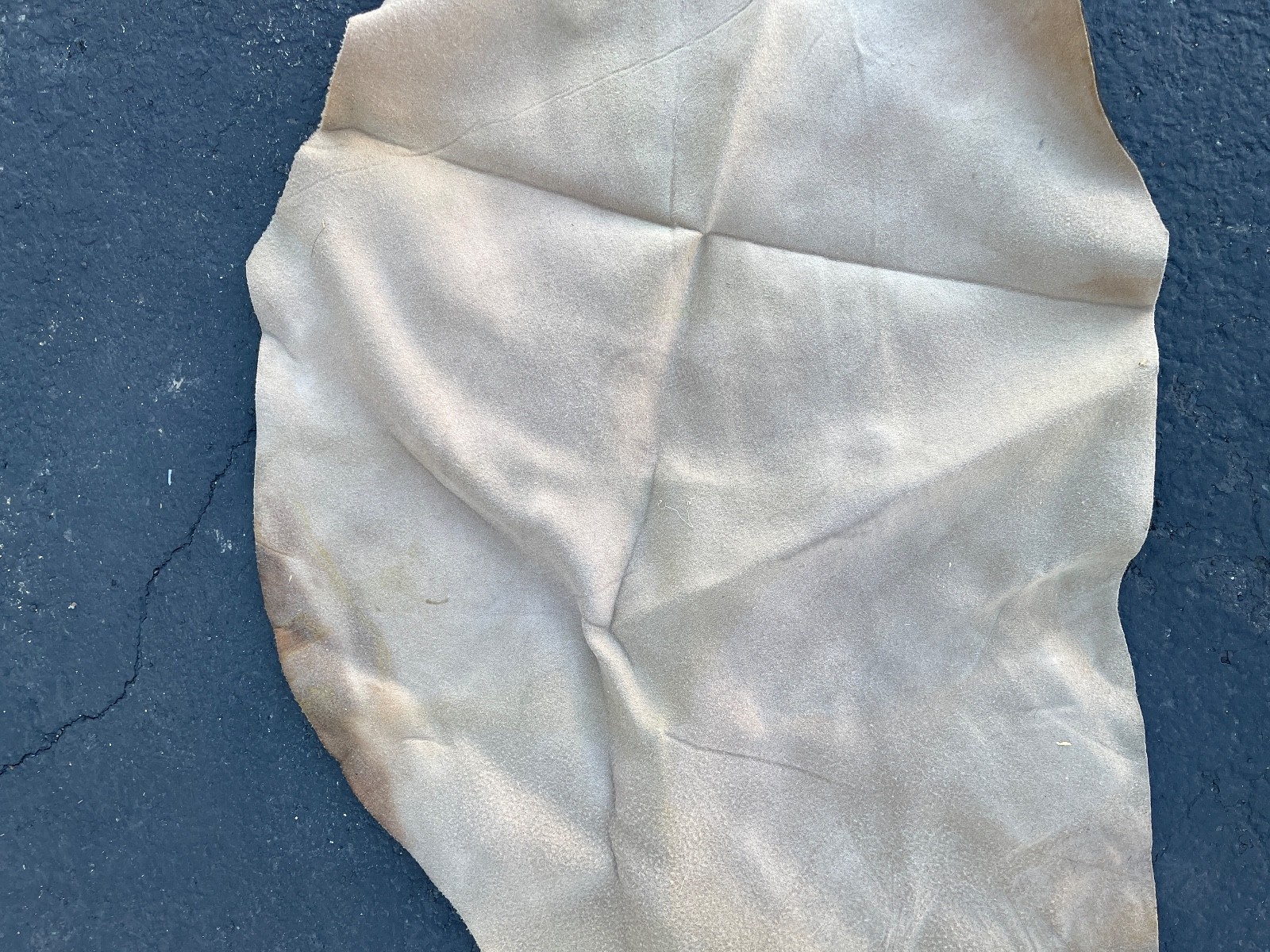 Vintage Leather Hide Saddle Underlay 50in x 30in Natural Tanned Piece - Image 6