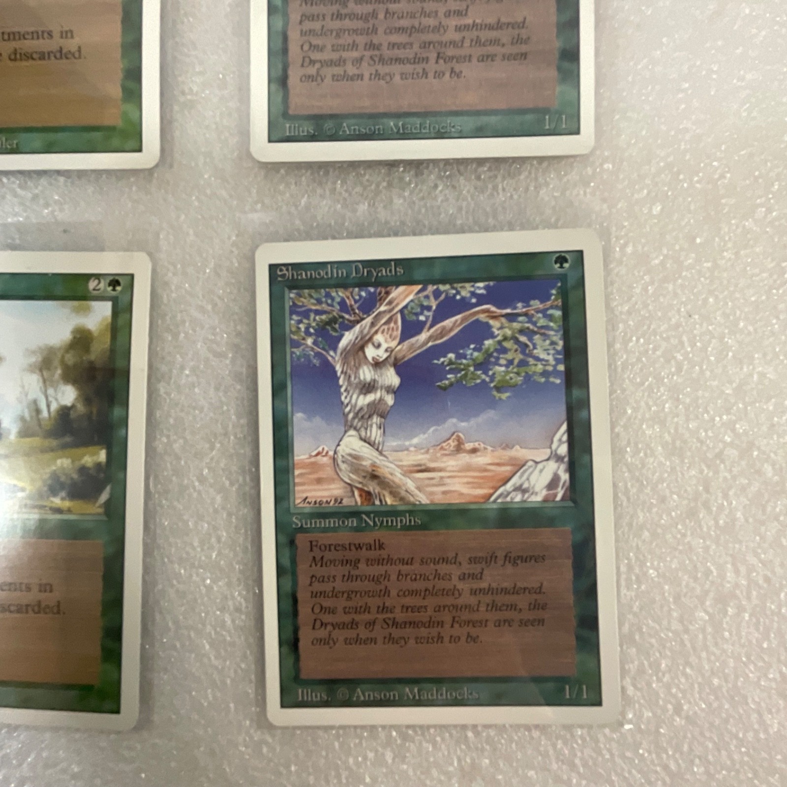 MTG 20 Card Green Lot Revised 3ED Llanowar Elves War Mammoth - Image 14