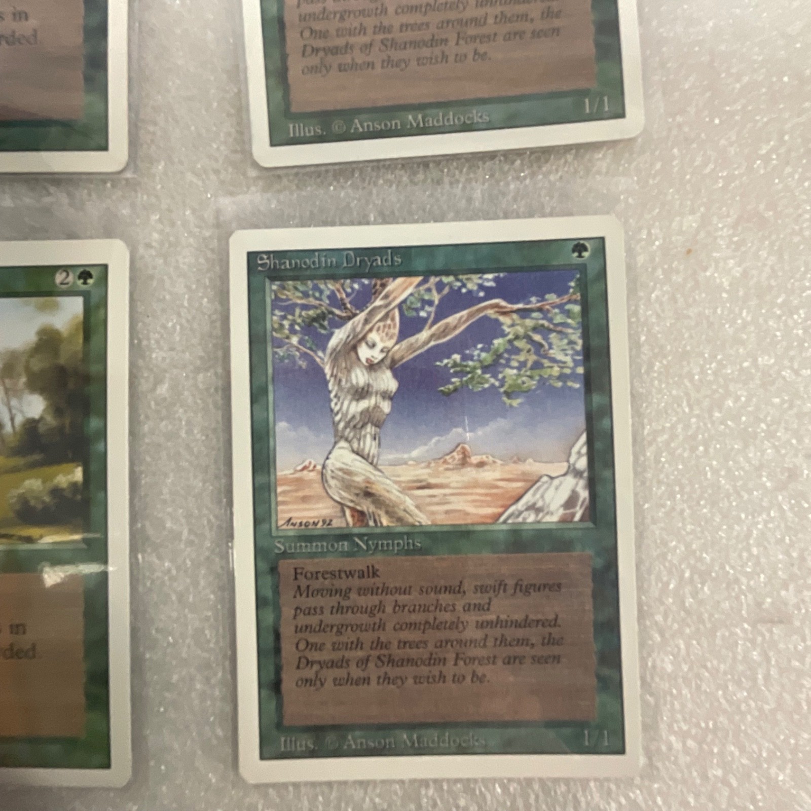 MTG 20 Card Green Lot Revised 3ED Llanowar Elves War Mammoth - Image 13